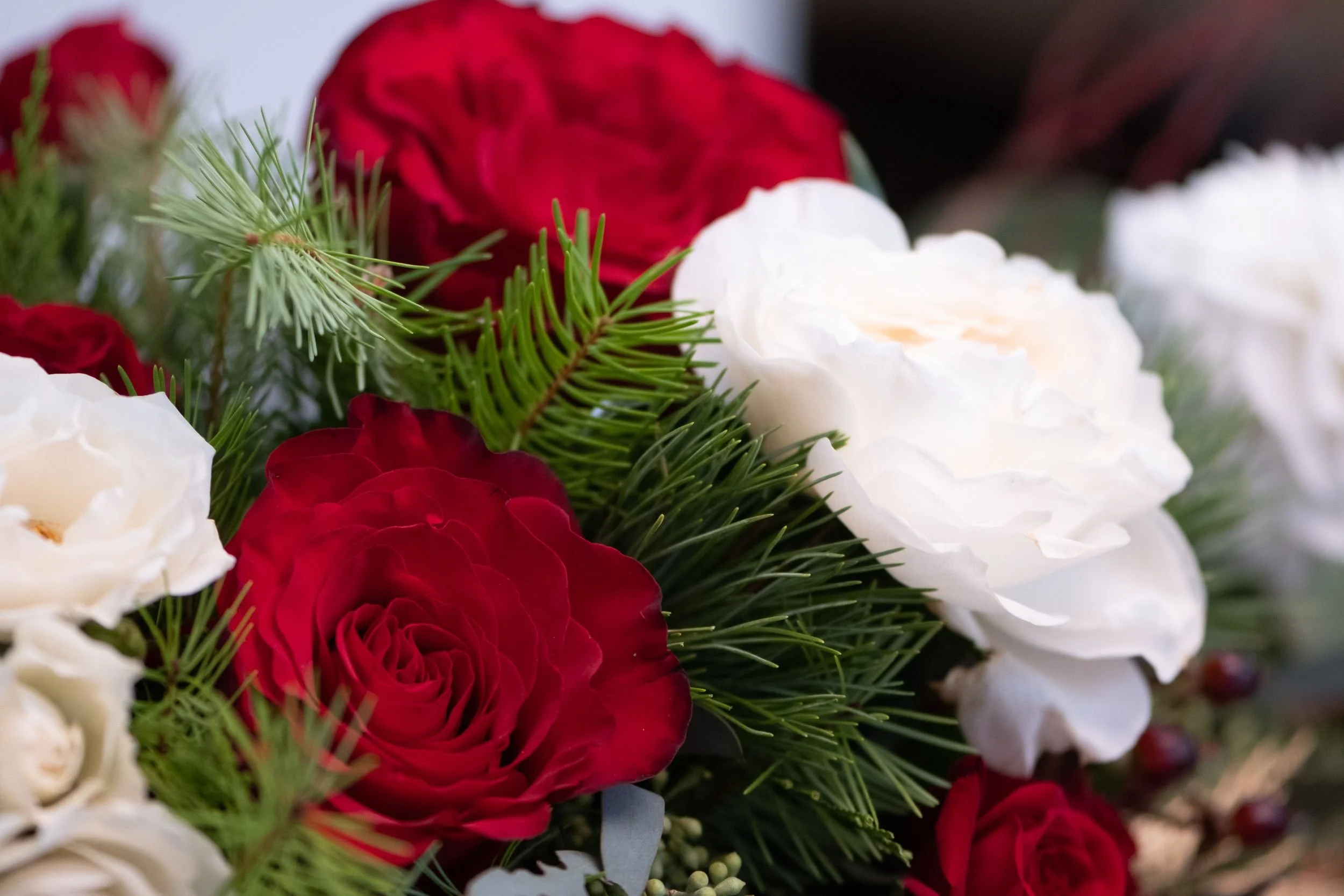 Plants — Wascana Flower Shoppe