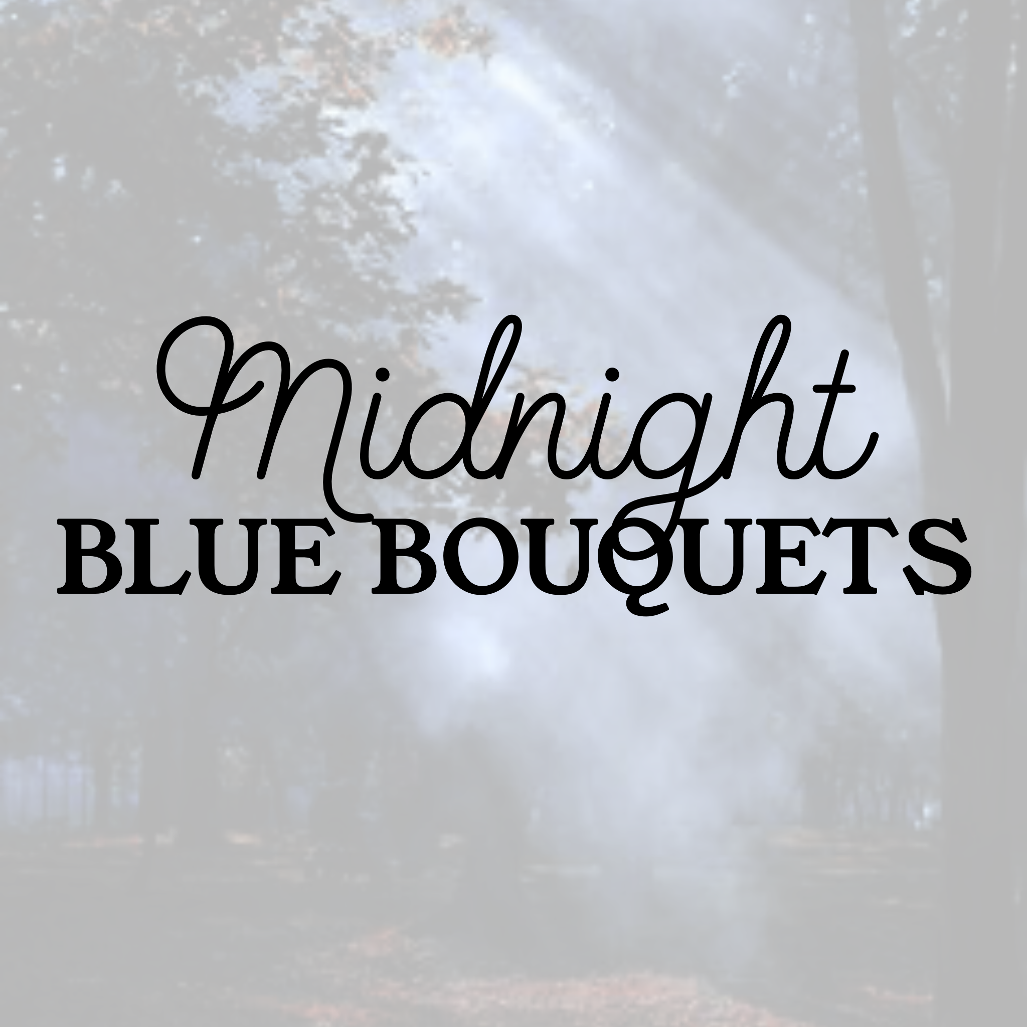 Midnight Blue Bundles (Friday, Nov 20th ONLY)