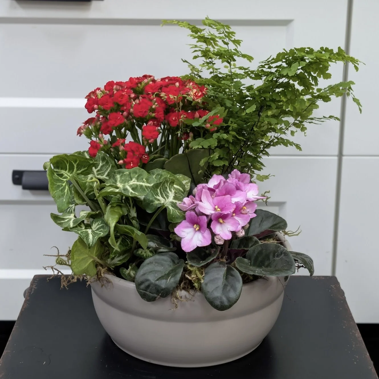 Grey Dishgarden Planter