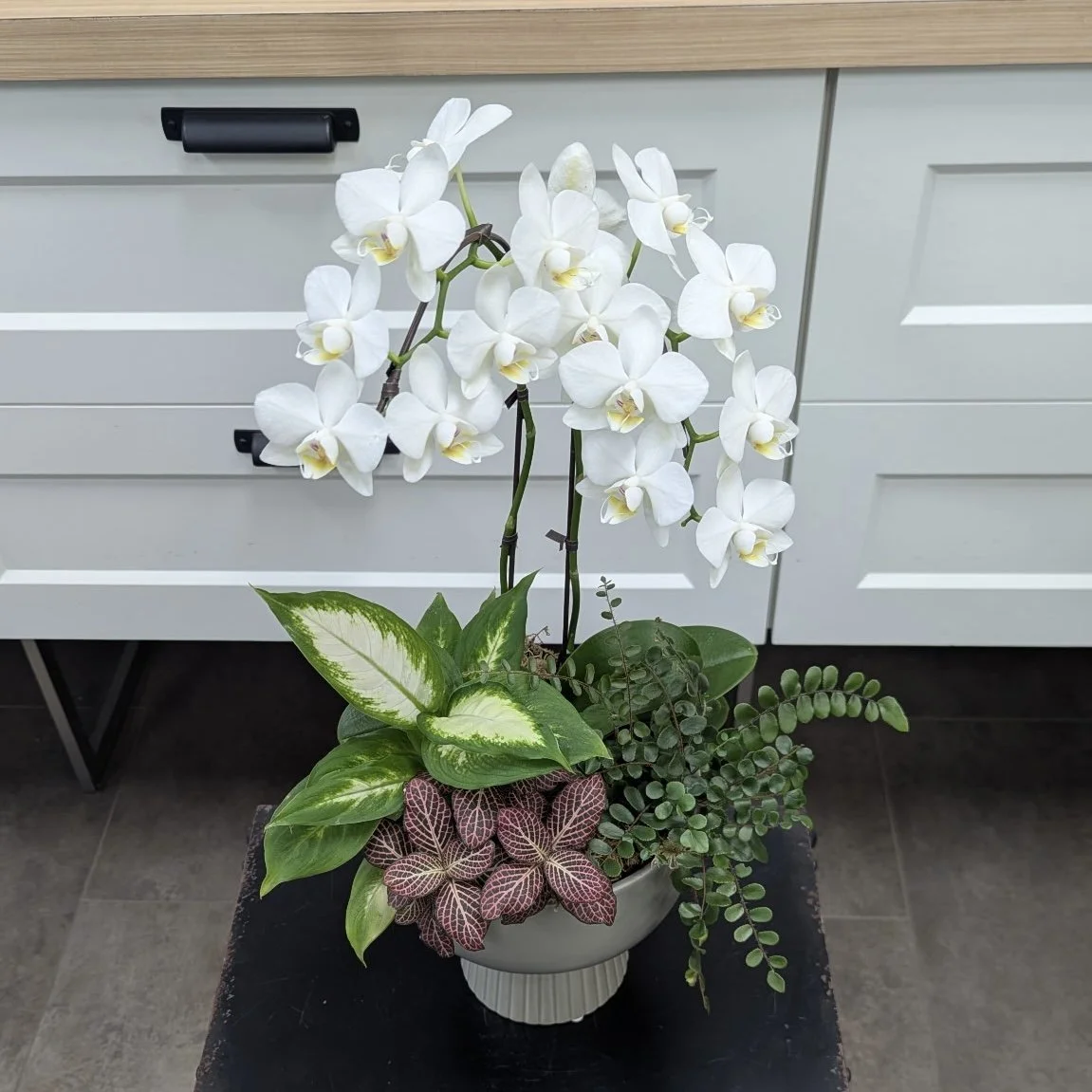 Pedestal Orchid Planter