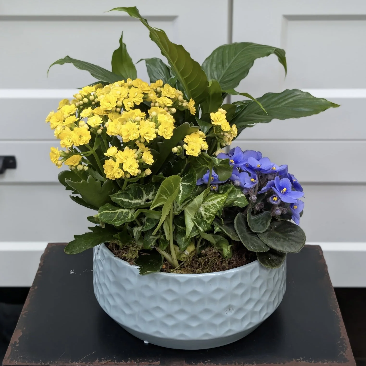 Lagos Ceramic Planter