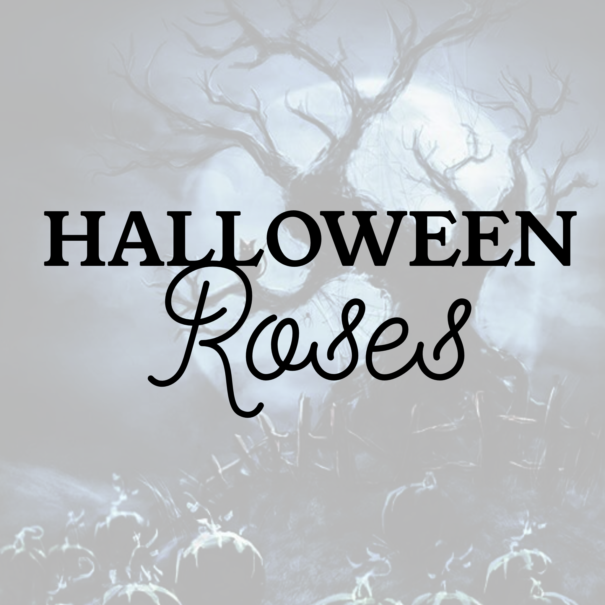 Halloween Roses (Friday, Oct 30th ONLY)