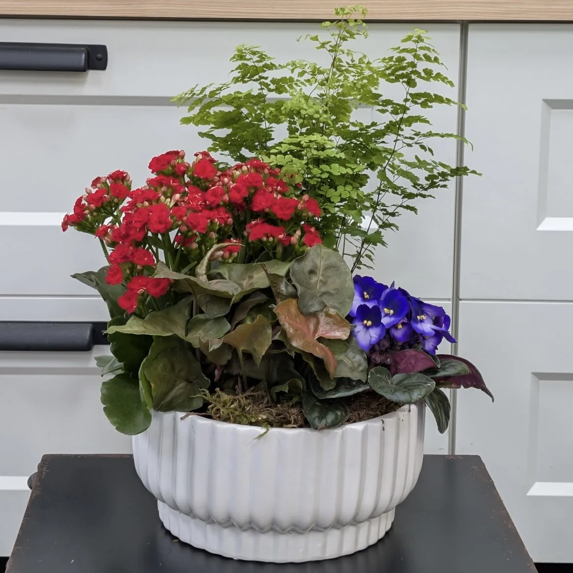 White Ceramic Ribbed Planter