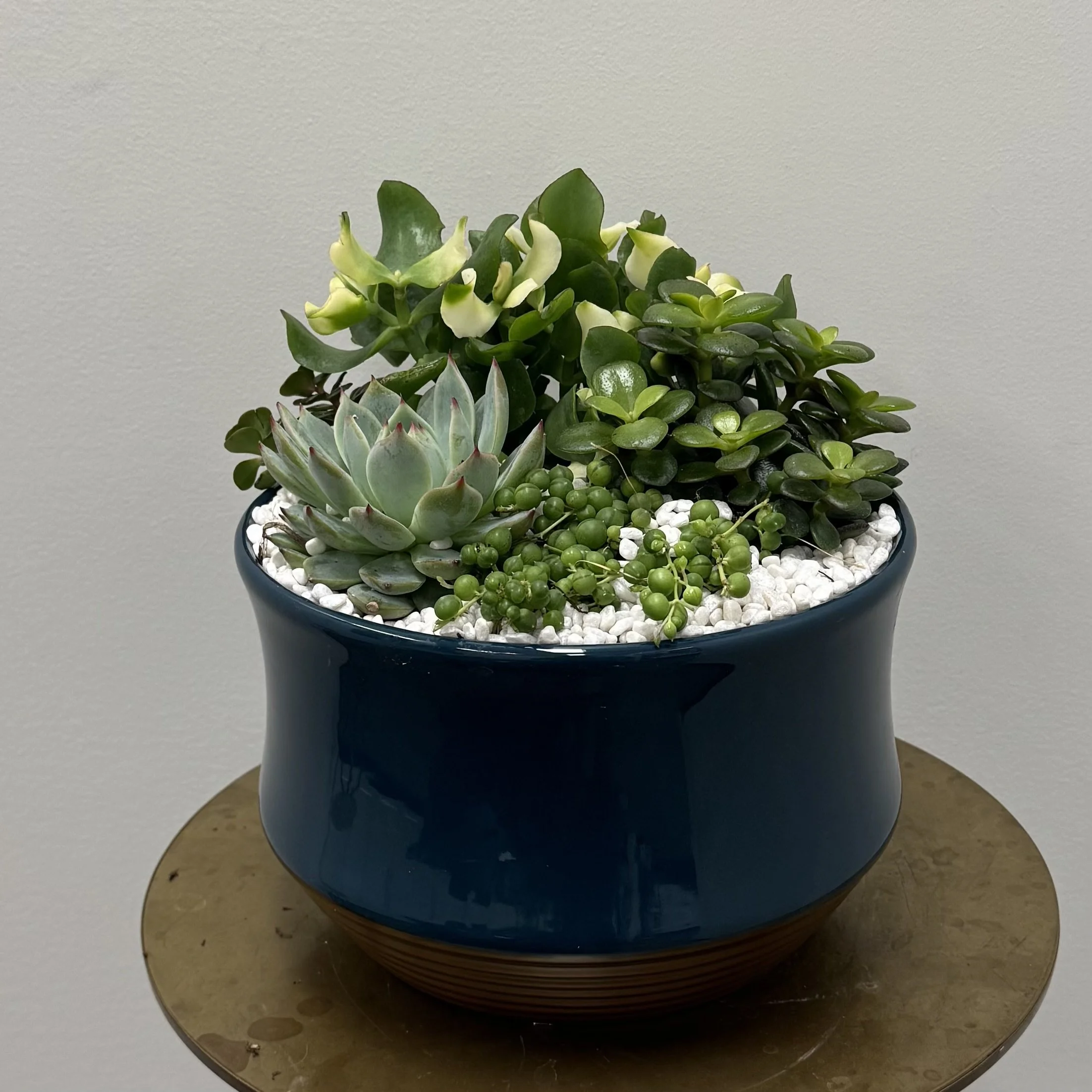 Succulent Planter