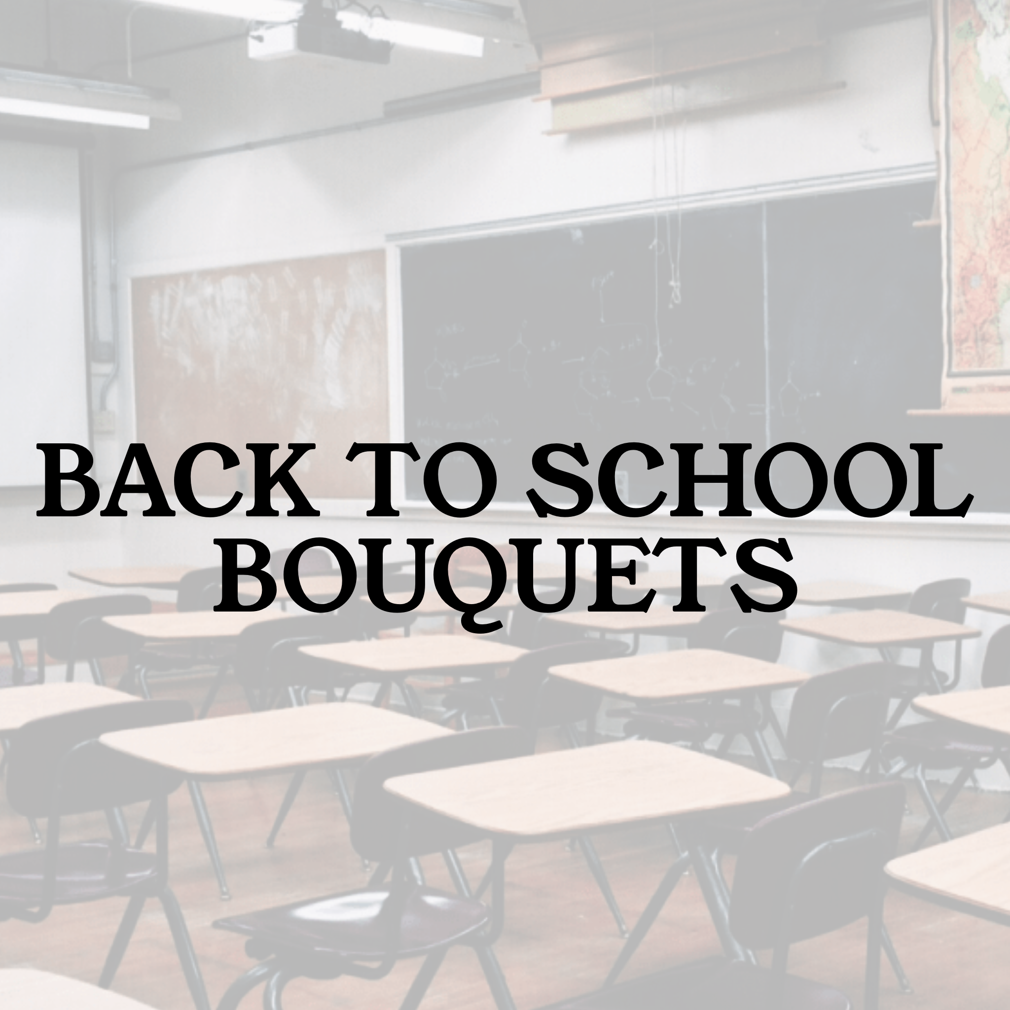 Back to School Bundles (Sept 4th ONLY)