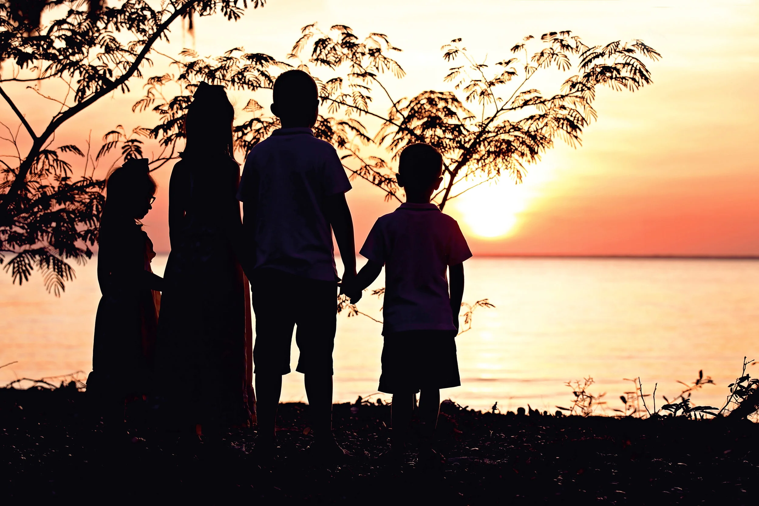 How You Can take Your Own Family Pictures? 
