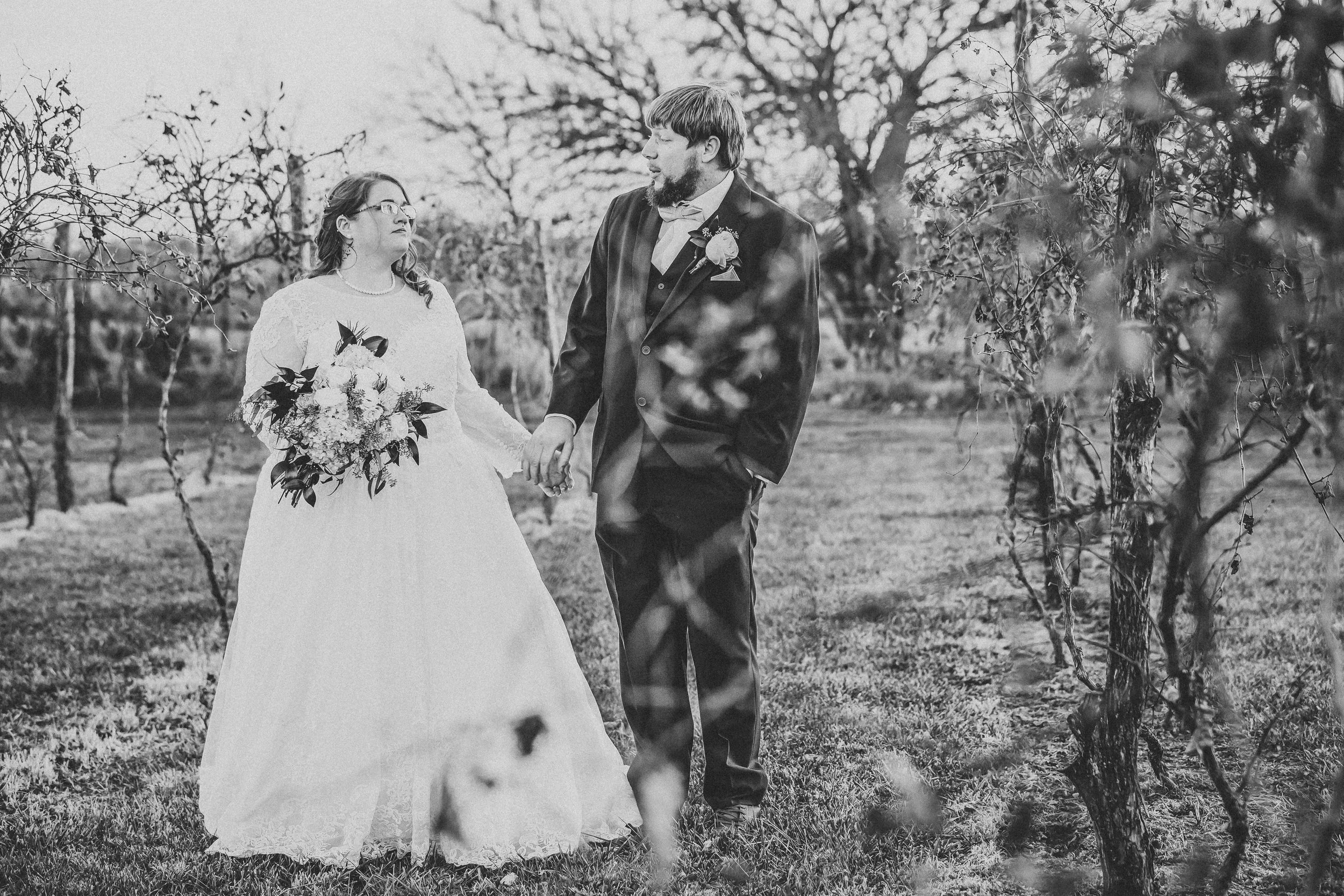 black and white image of bride and groom walking through a grape orchard photo captured by Jacksonville beach St. Augustine Florida wedding photographer