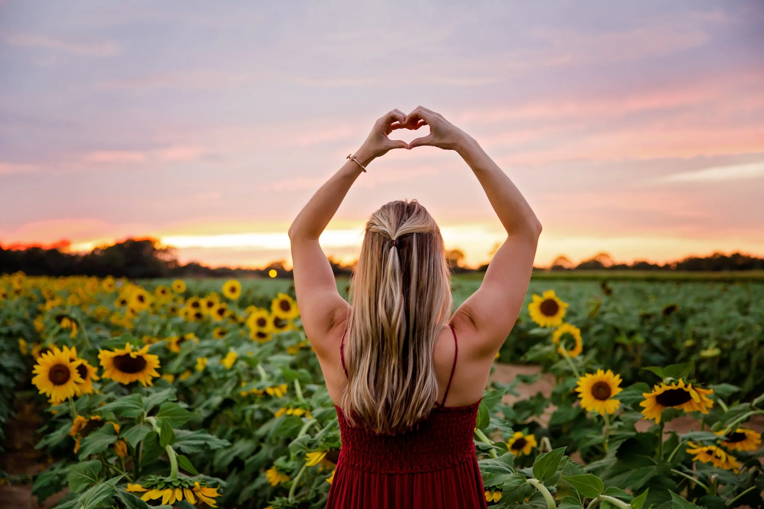 A picture of a woman in the middle of a sunflower field in Jacksonville Florida