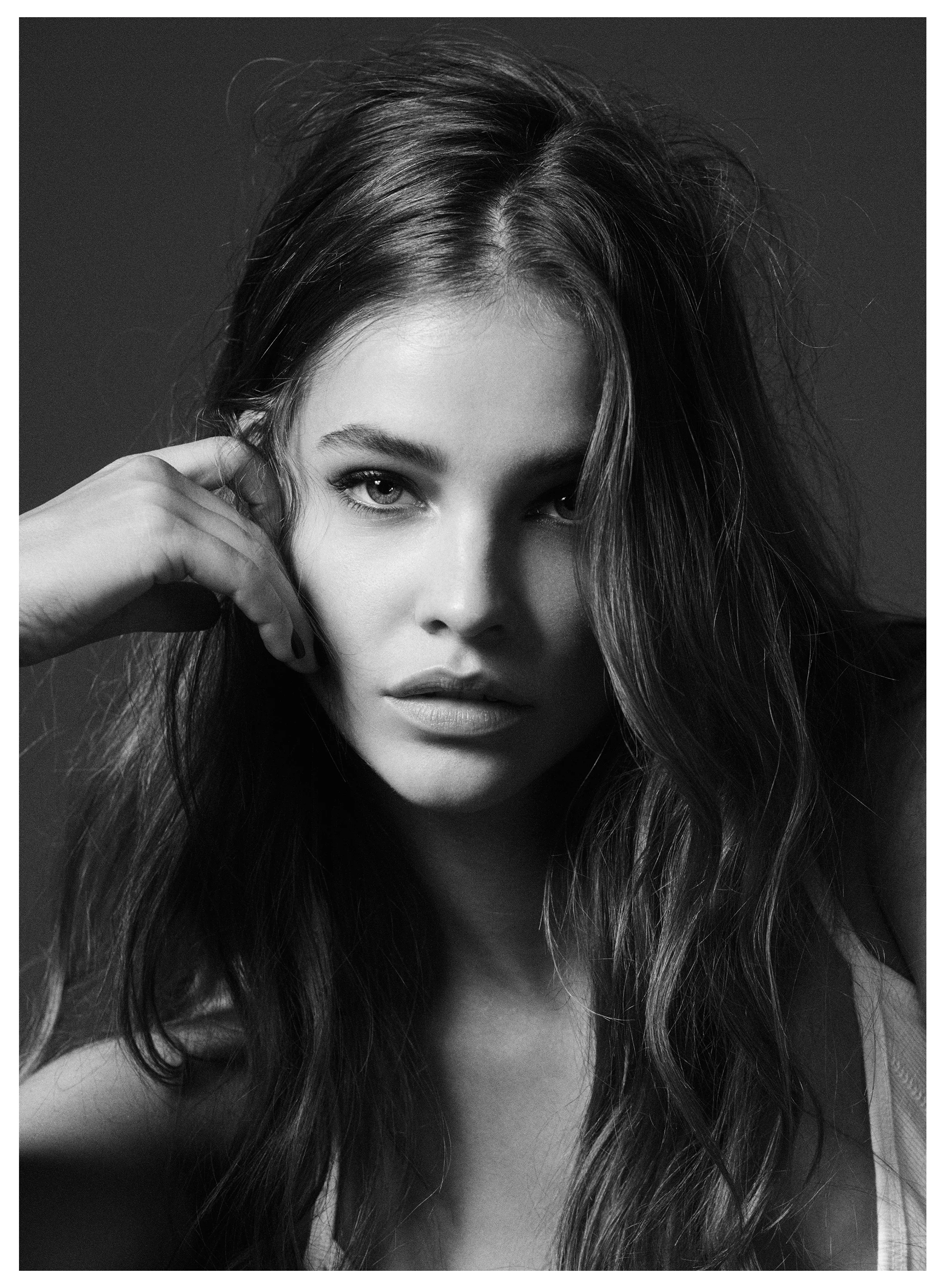 palvin1.jpg