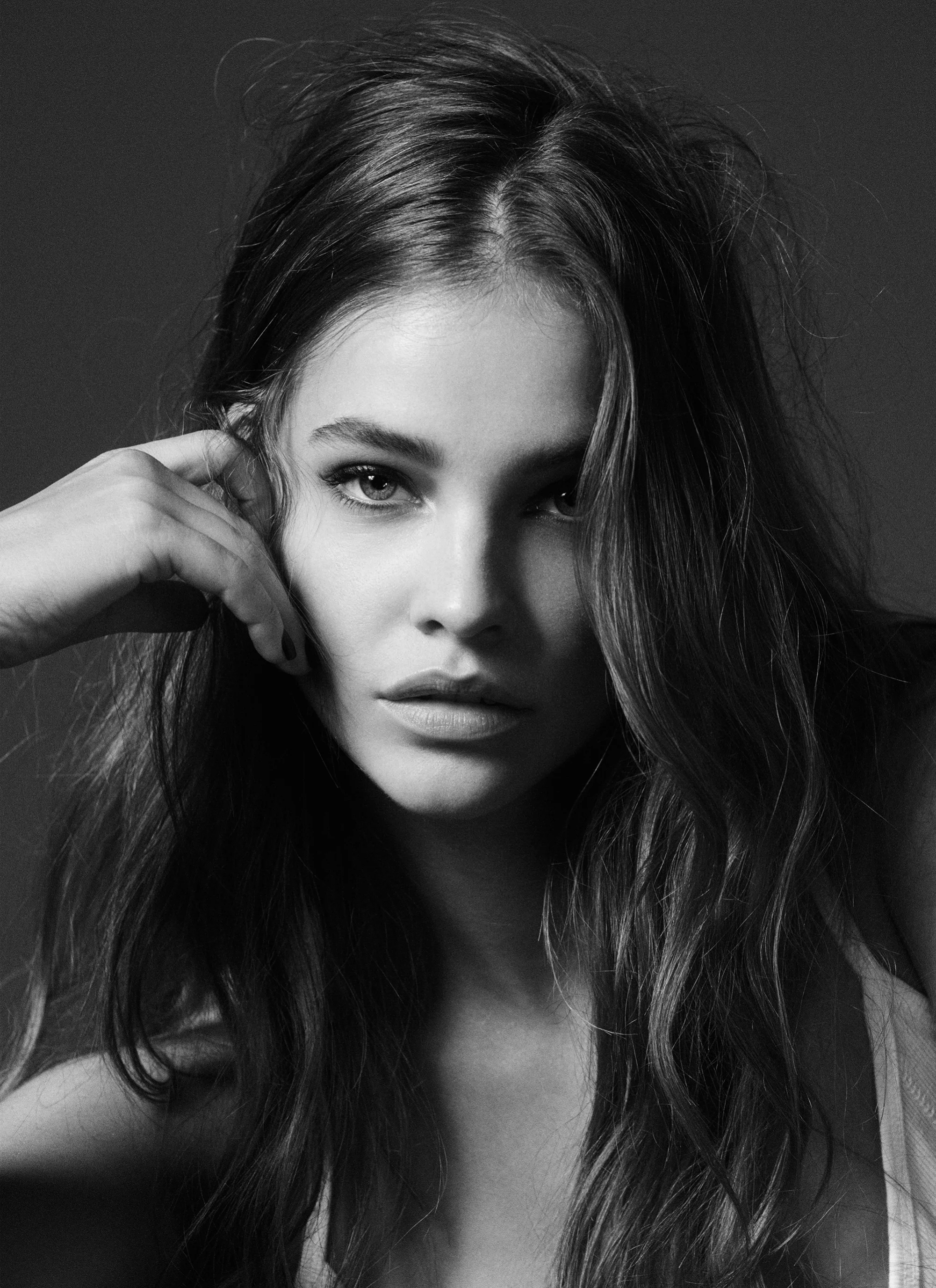 palvin1.jpg