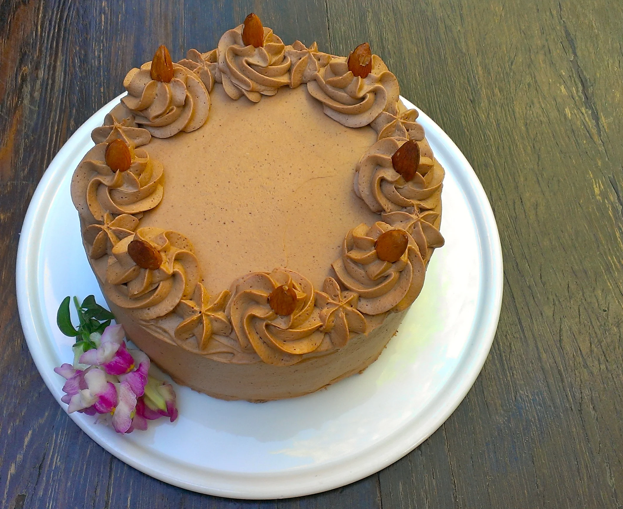 vanilla-almond cake layered with chocolate icing (raw, gluten-free)