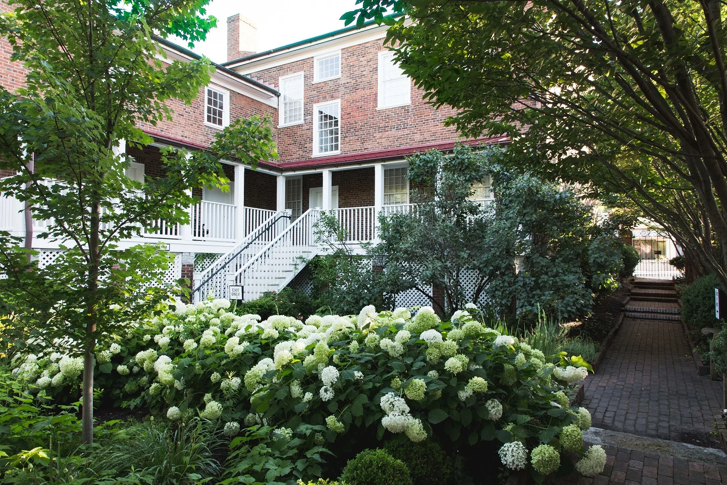 The Garden