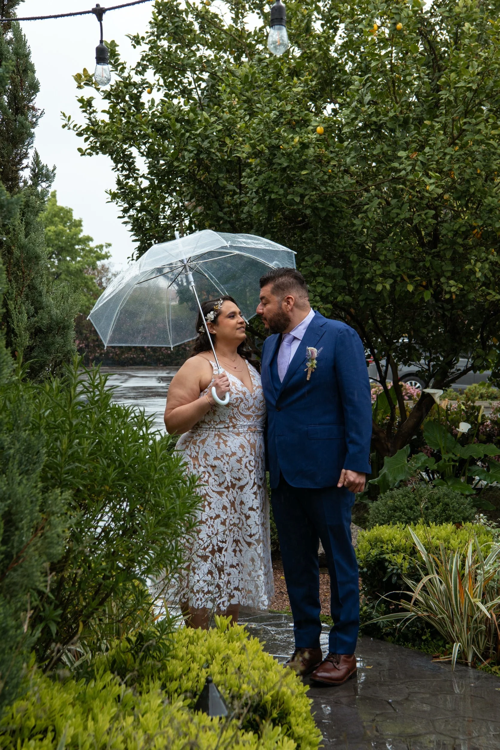 A couple in wedding attire sharing a moment under a clear umbrella in the rain, surrounded by lush greenery.