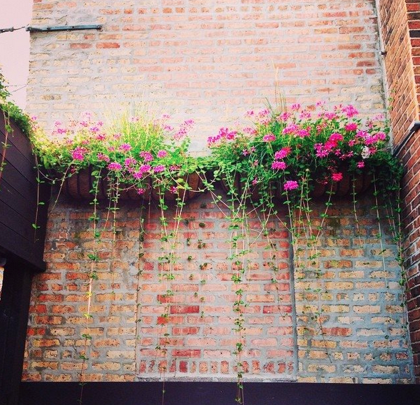 from my instagram