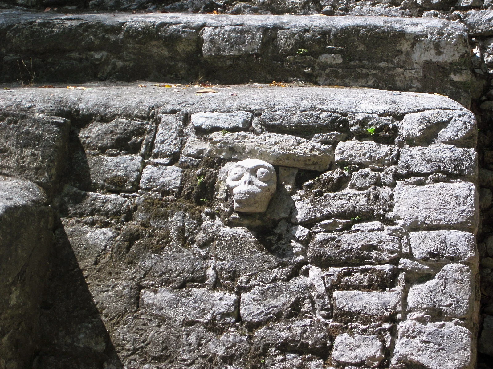 gnarly skull at Cobá 