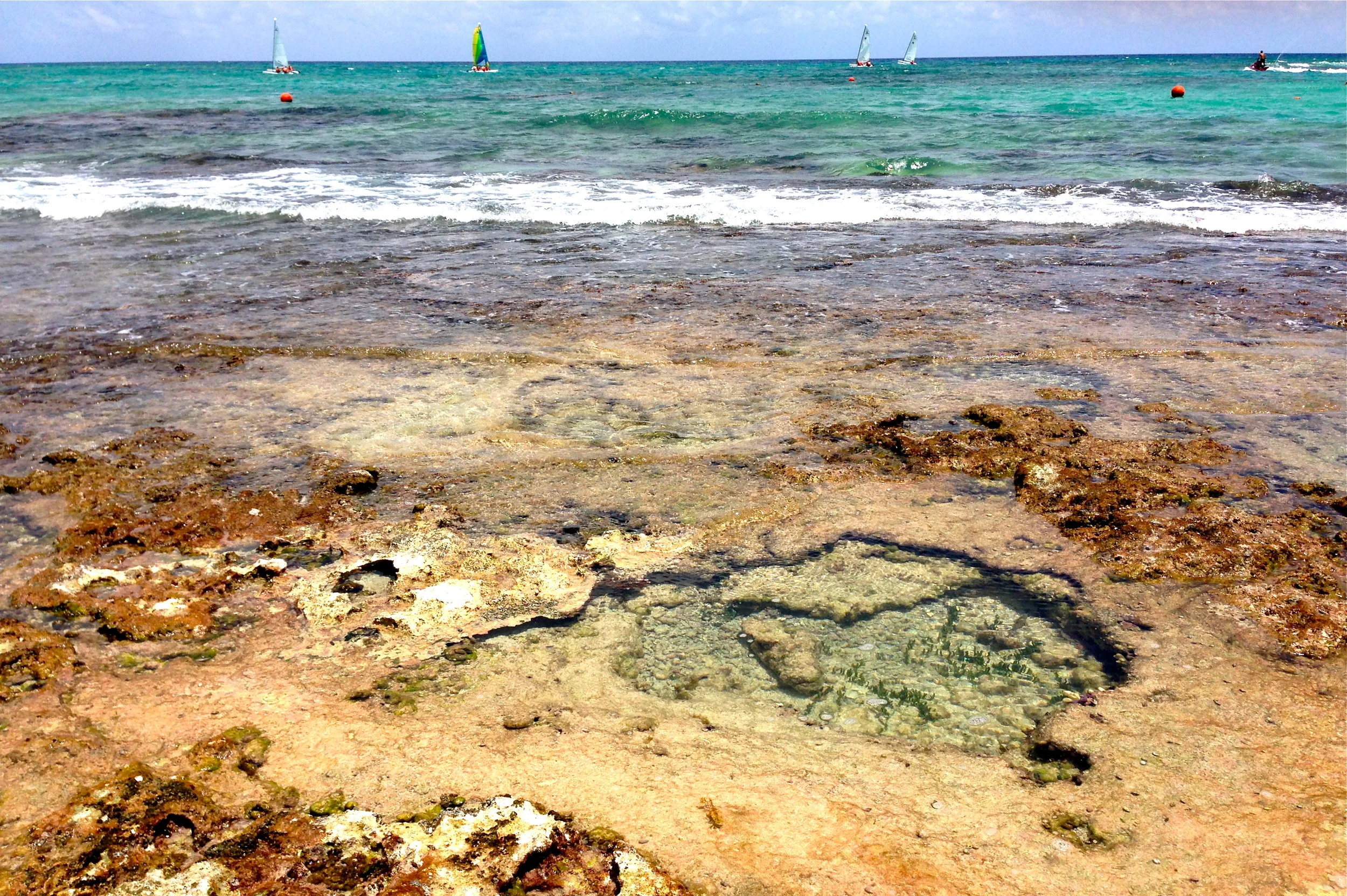 Turquoise waters and tide pools