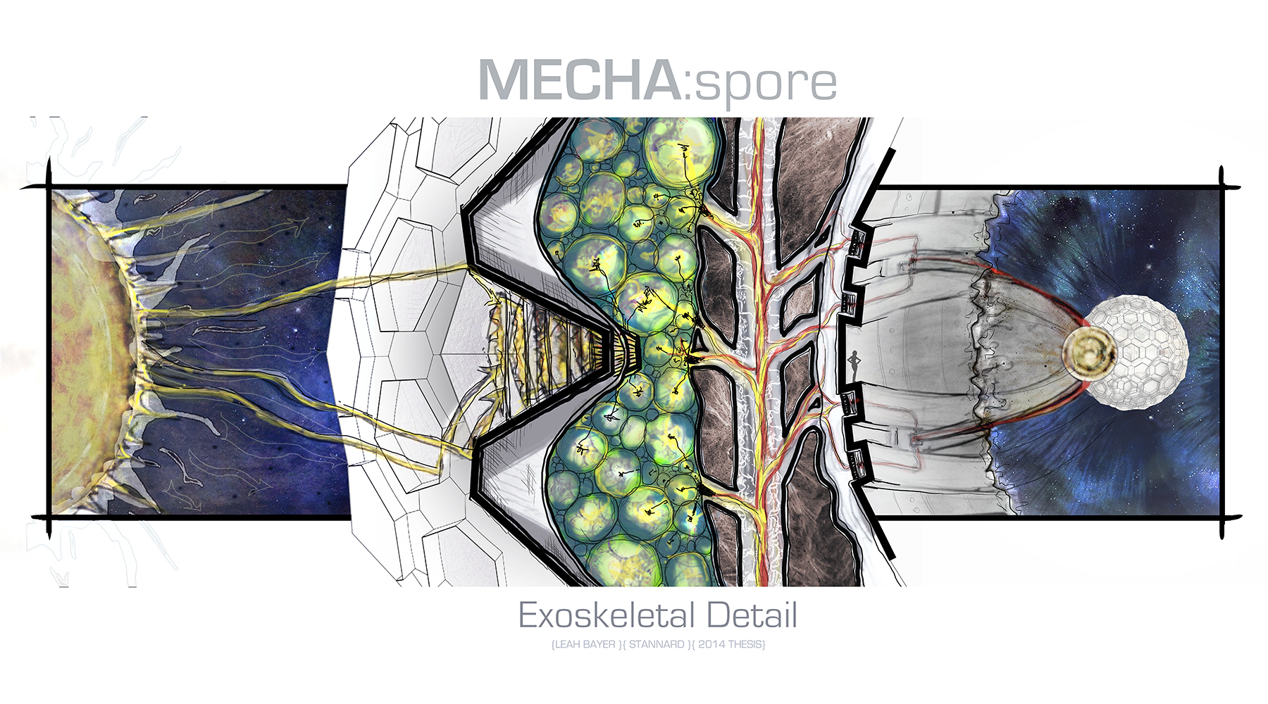 Detail Illustration Horizontal xsm final.jpg