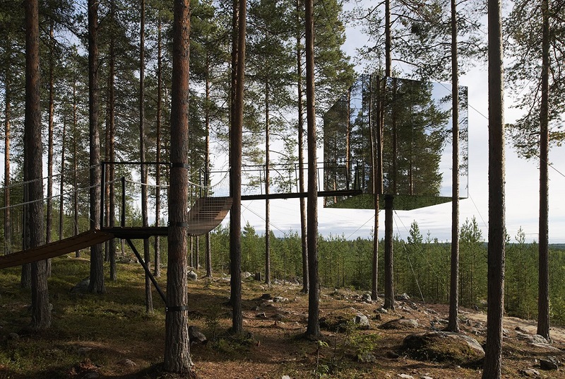 Tree Hotel by Tham & Videgard Arkitekter ( Image source )