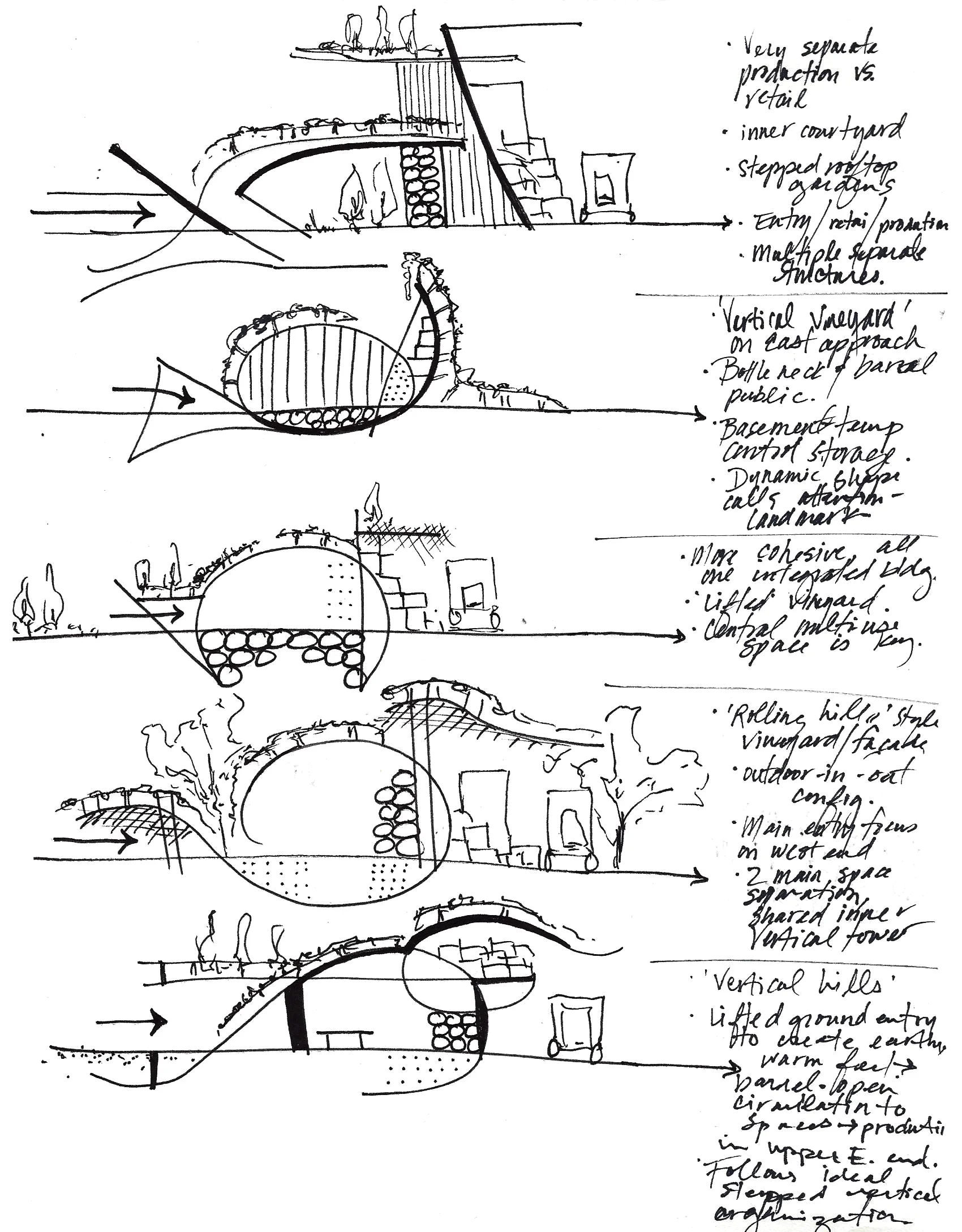 conceptual sketches.JPG