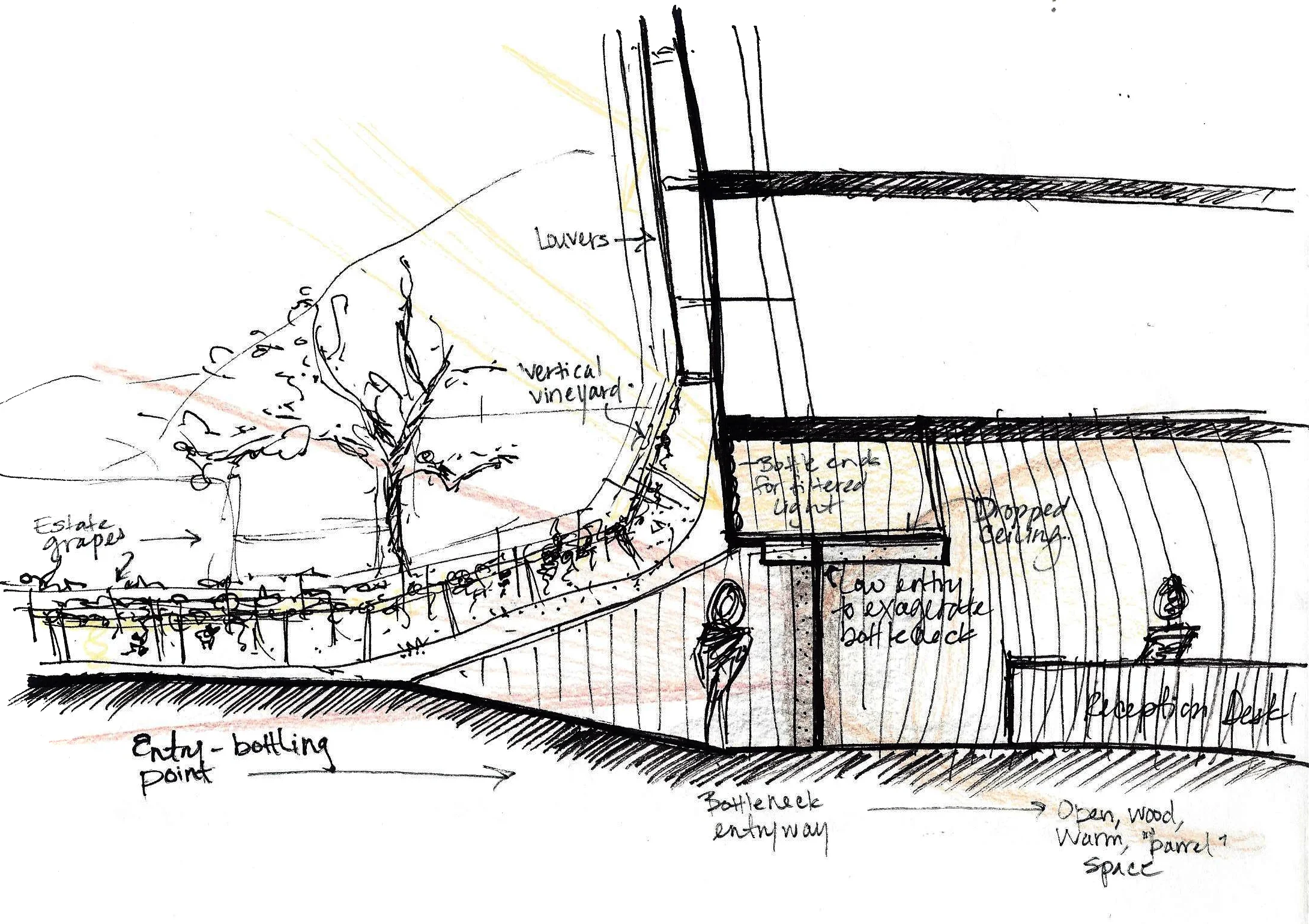 entry section sketch.JPG