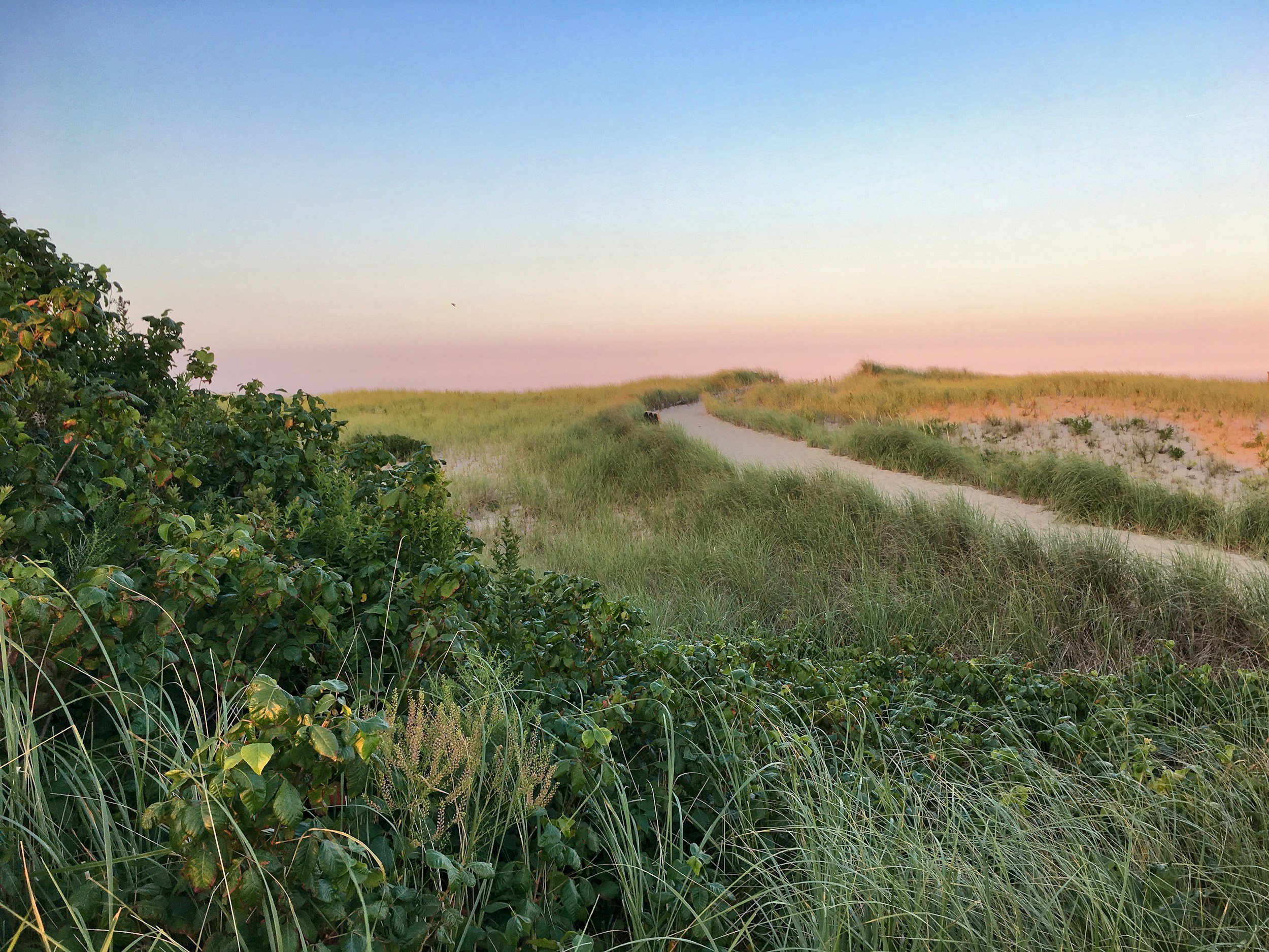 cape cod insights thus far