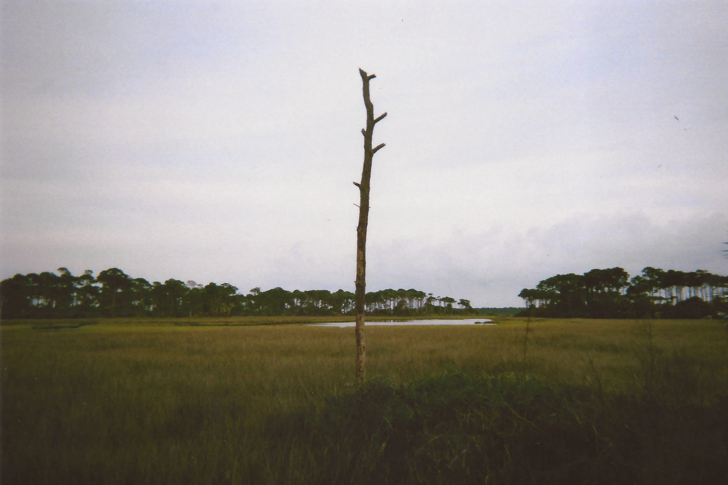 Estuary, St. Joseph Peninsula State Park, Florida 2014