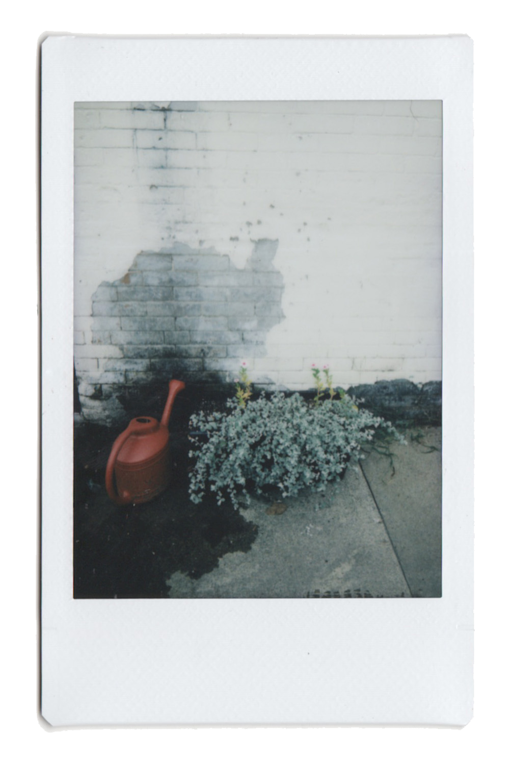 Richmond, VA