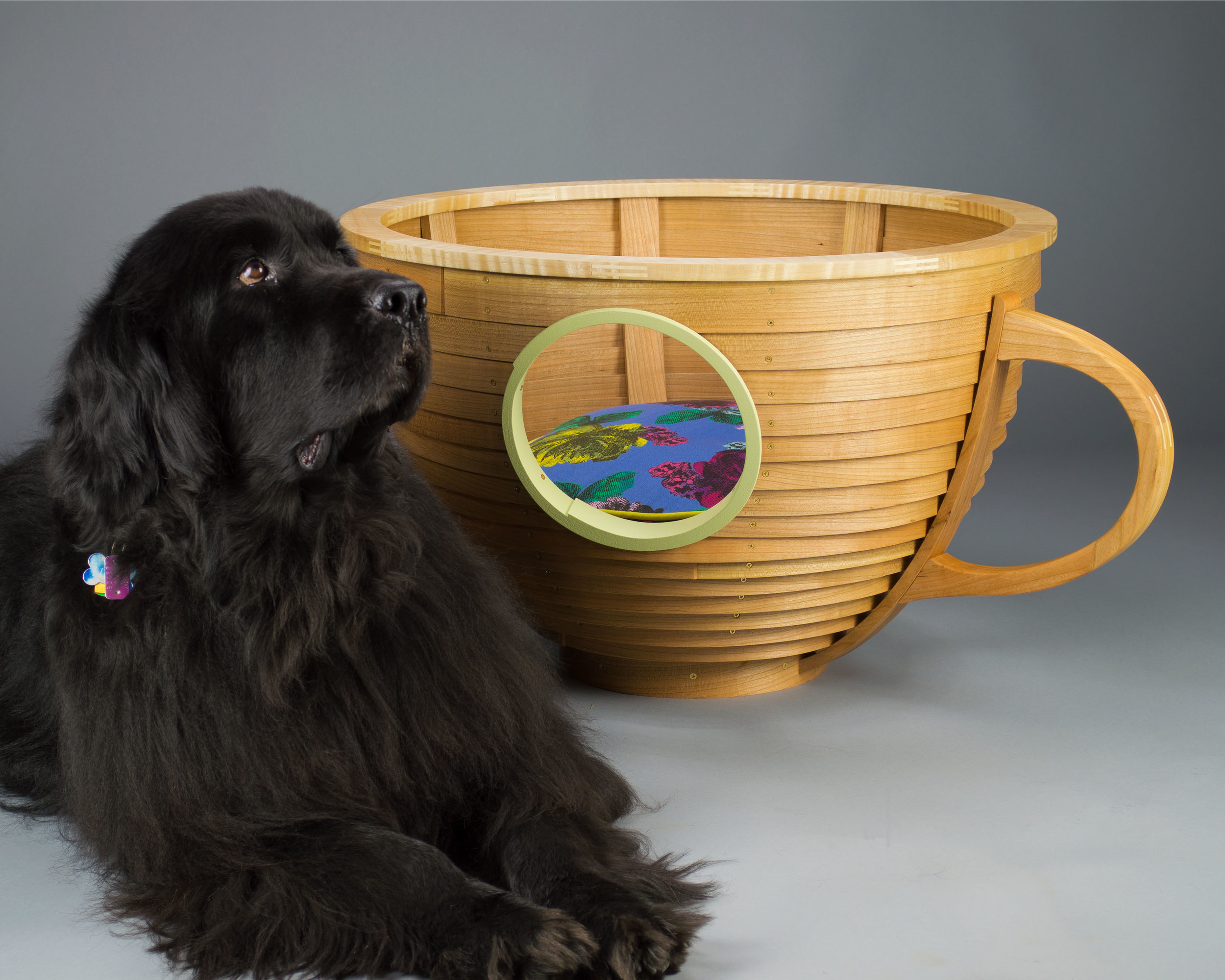 This Barkitecture bed is Newf-approved.