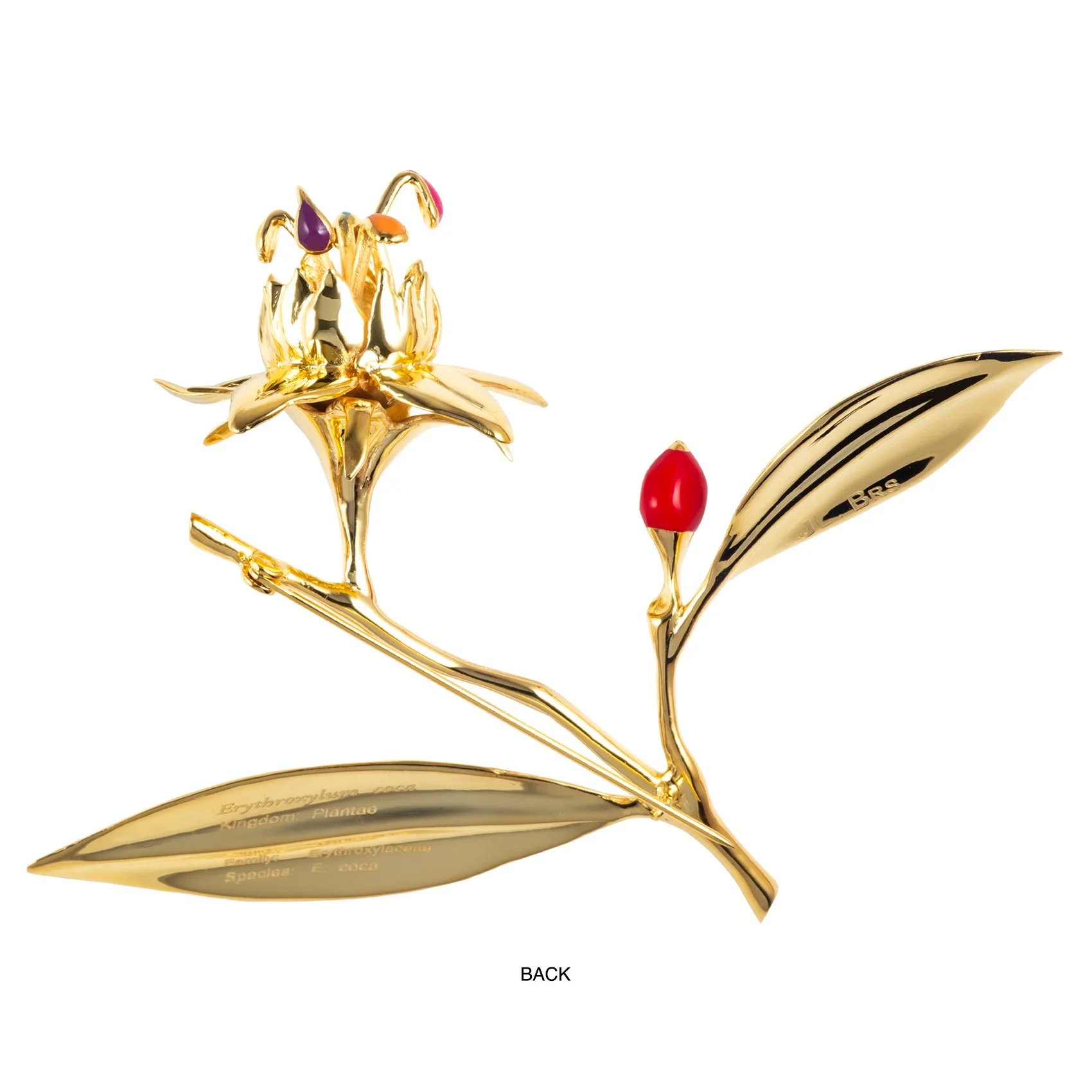 Brass flower Erythroxylon Coca pin enamel color gold plating