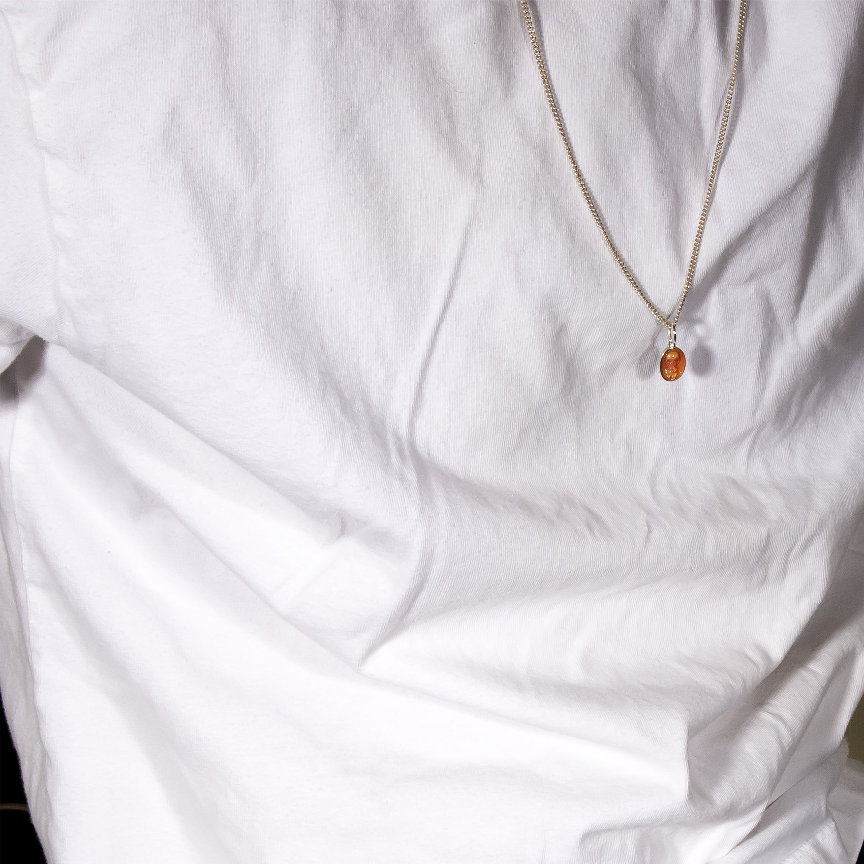 Tangerine on Web.jpg