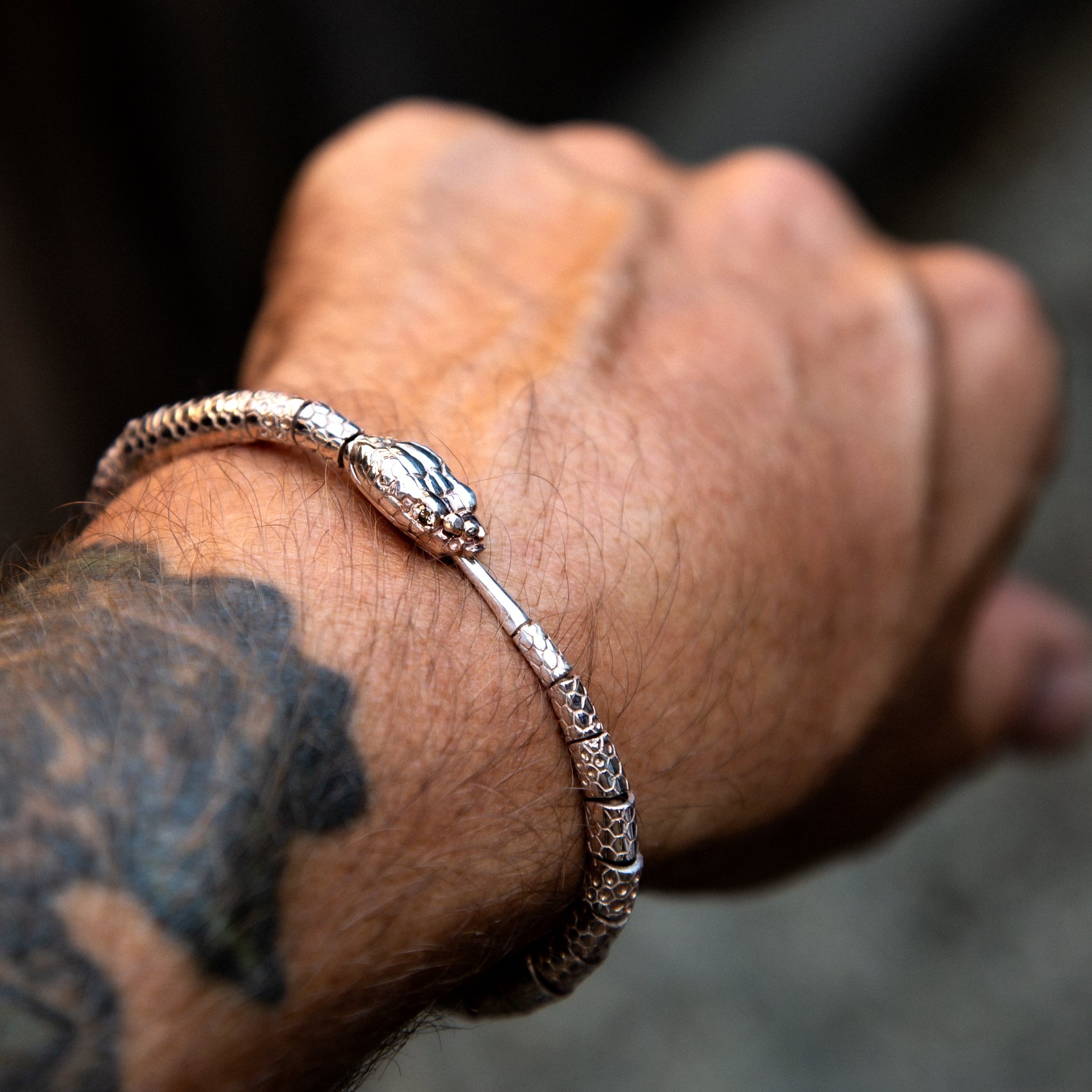 Mountain King on Wrist Web.jpg