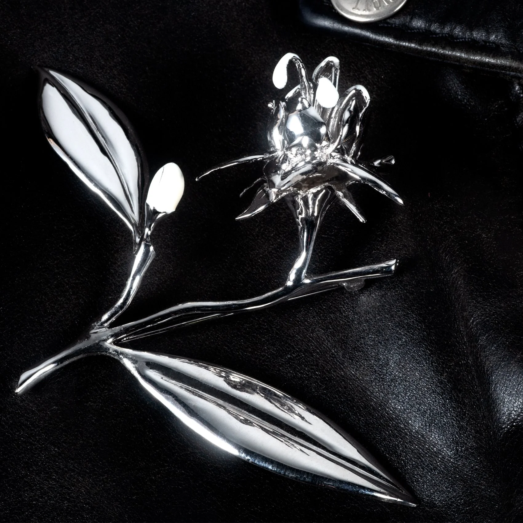 Nightlife on Leather Web.jpg