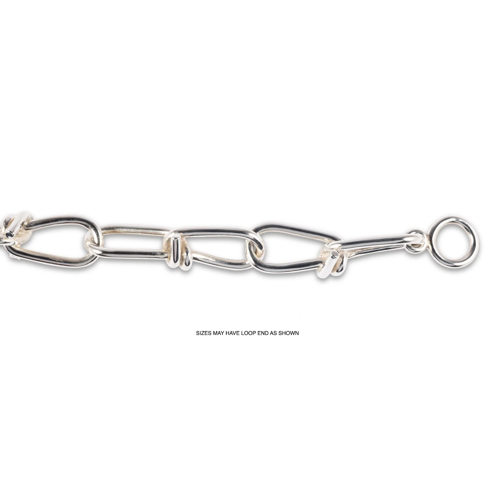 PBS LRG With Loop End Web.jpg