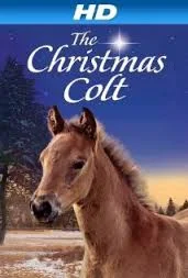 The Christmas Colt