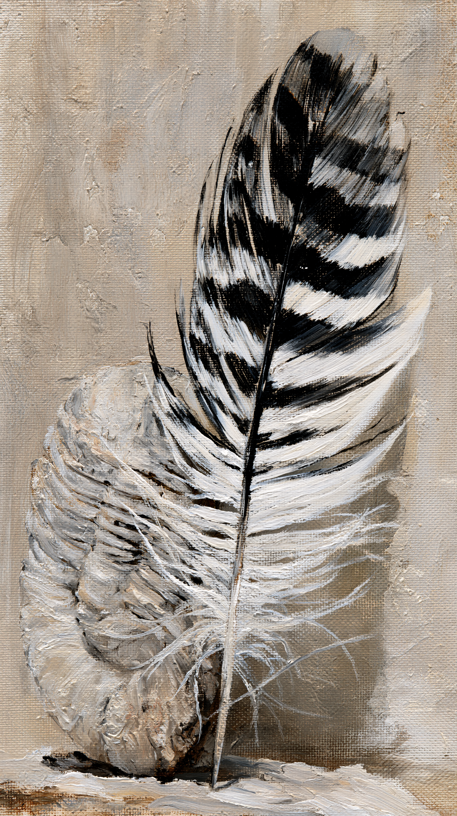   Fossil And Feather  