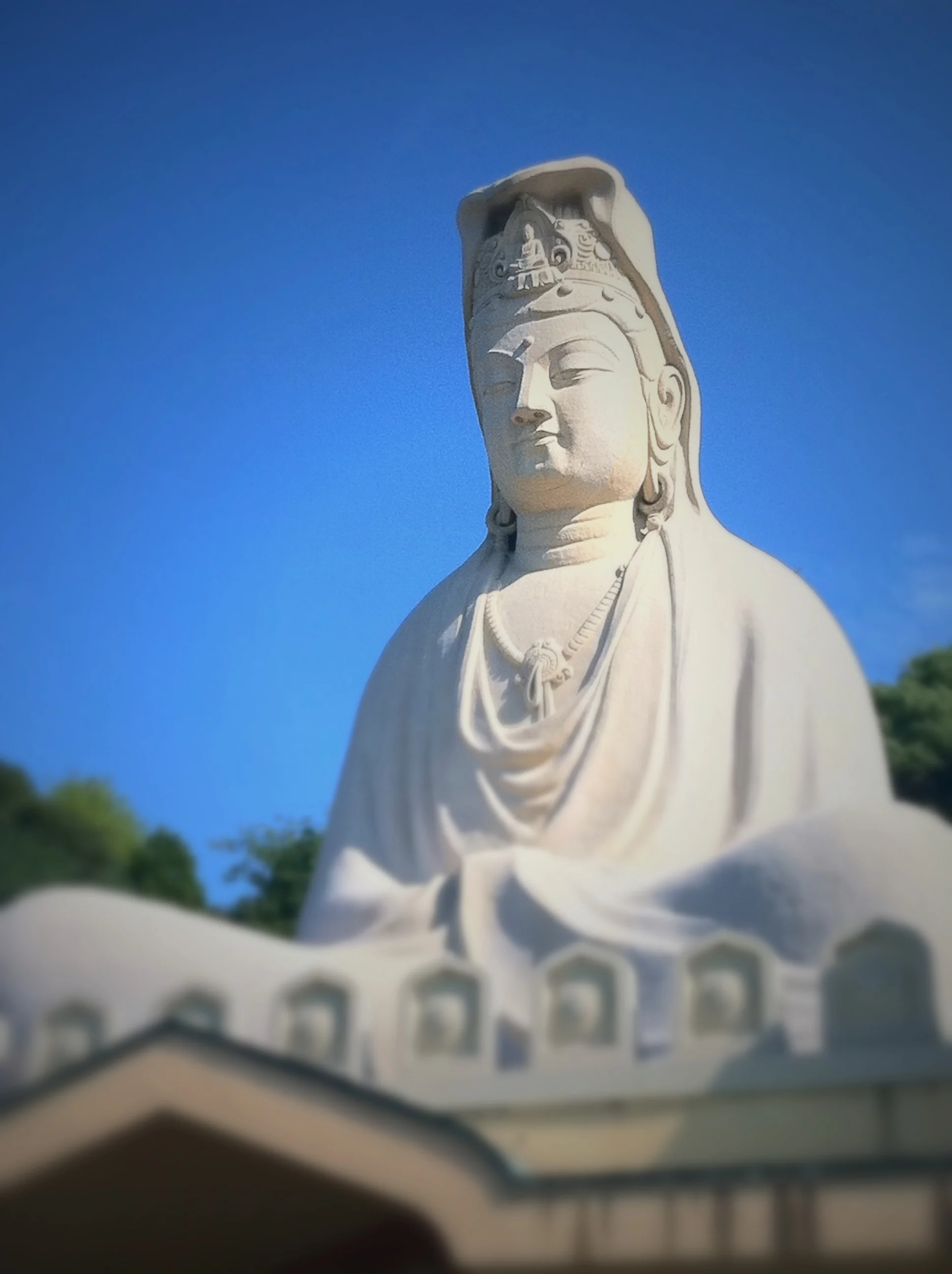 They tower majestically, perfectly interspersed within natural surroundings