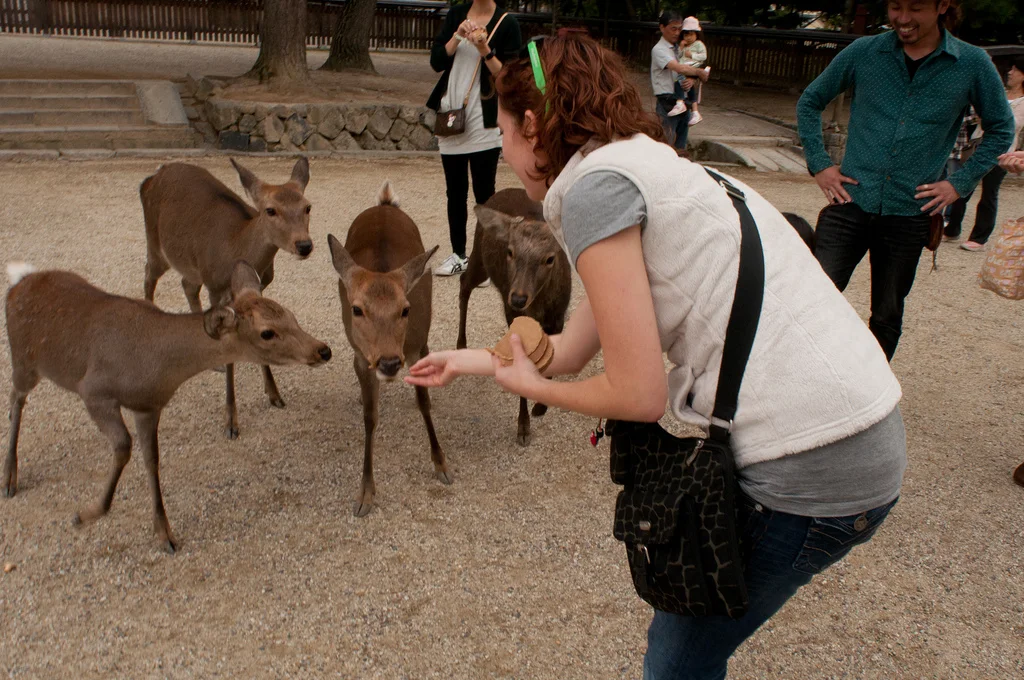 And if you don't feed them fast enough, they'll literally head-butt you