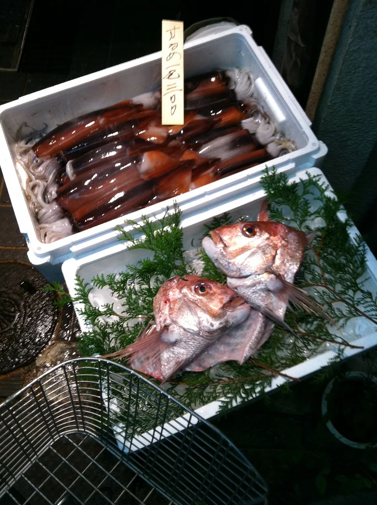 They eat so many sea-things