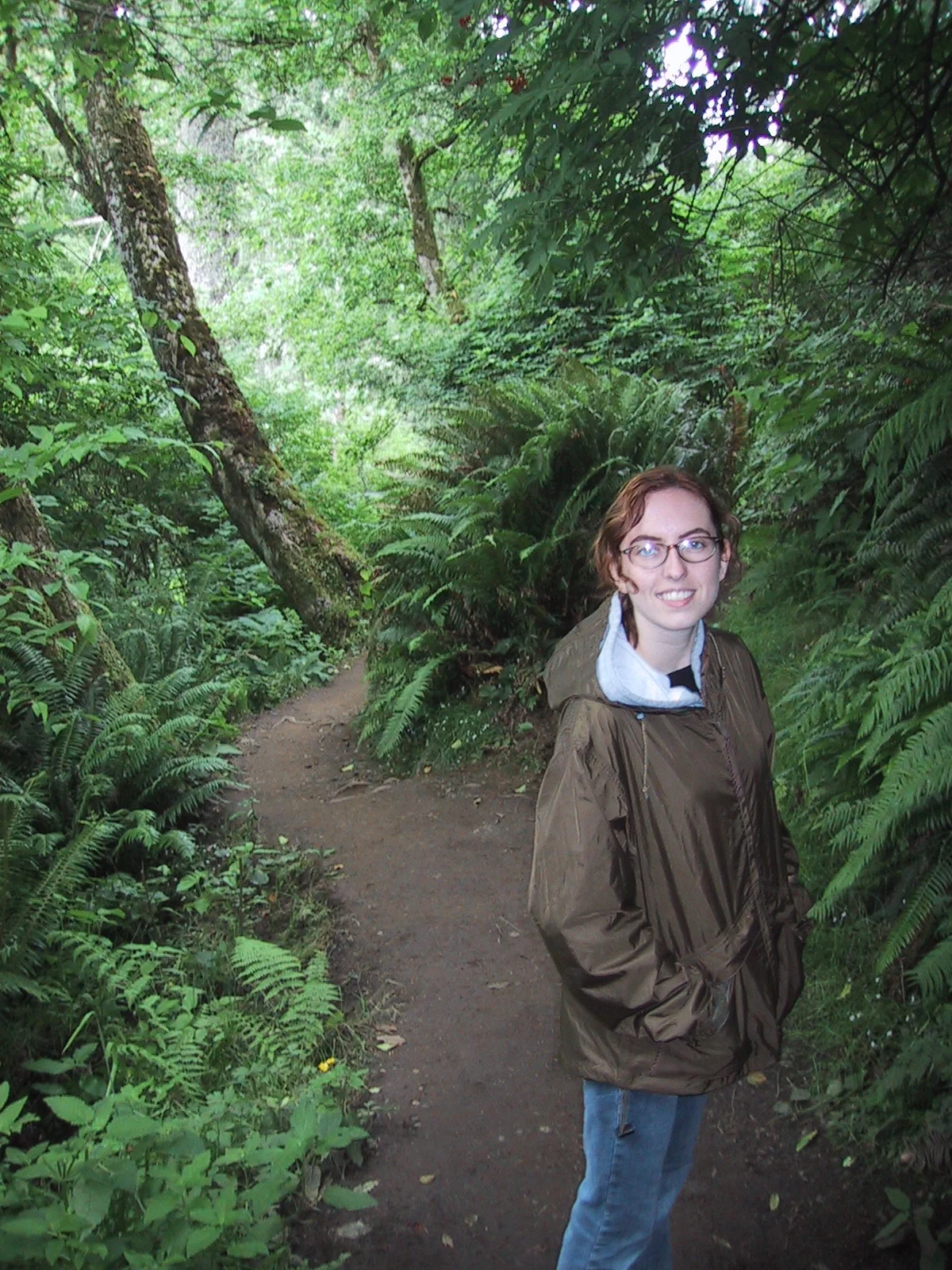 One of the many fern covered trails near the Columbia River Gorge