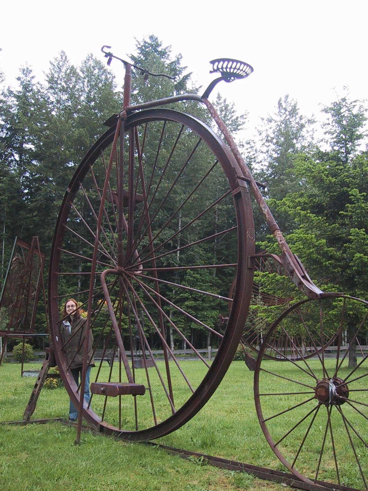 Driving through rural Washington, just outside of Mt Rainier, we stumbled upon a sculpture park created by Daniel Klennert in Ashford, WA.