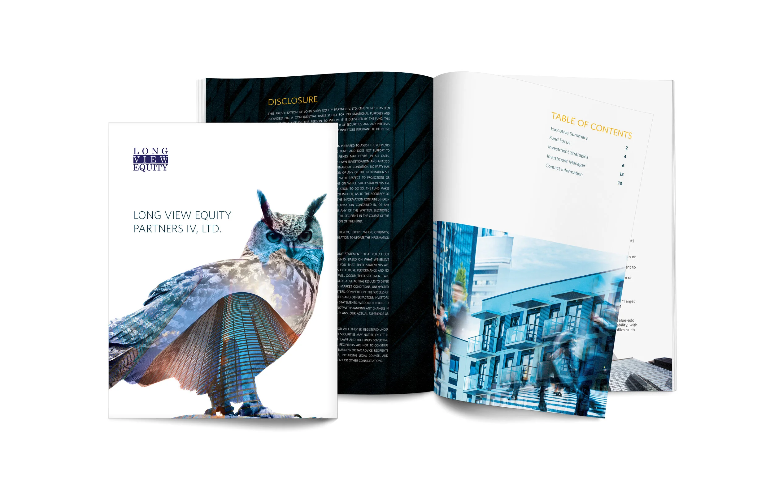  Design and production of  Long View Equity  fund report 
