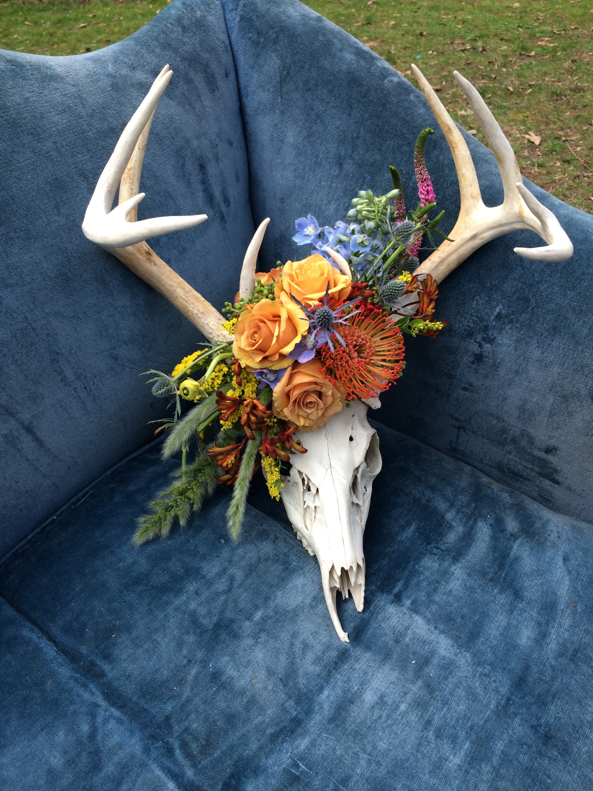 Deer Skull with Floral Accent