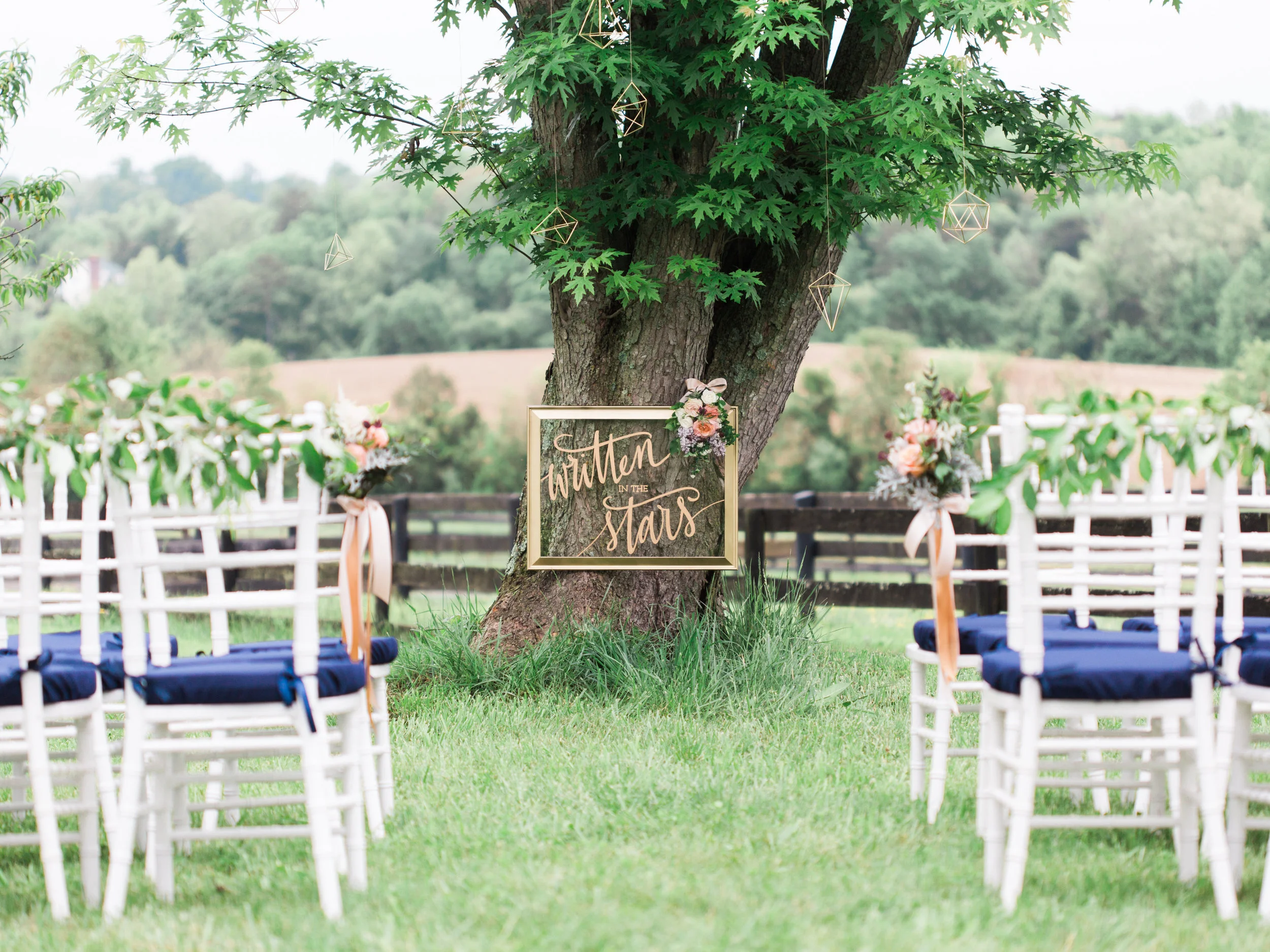 Wedding under a tree