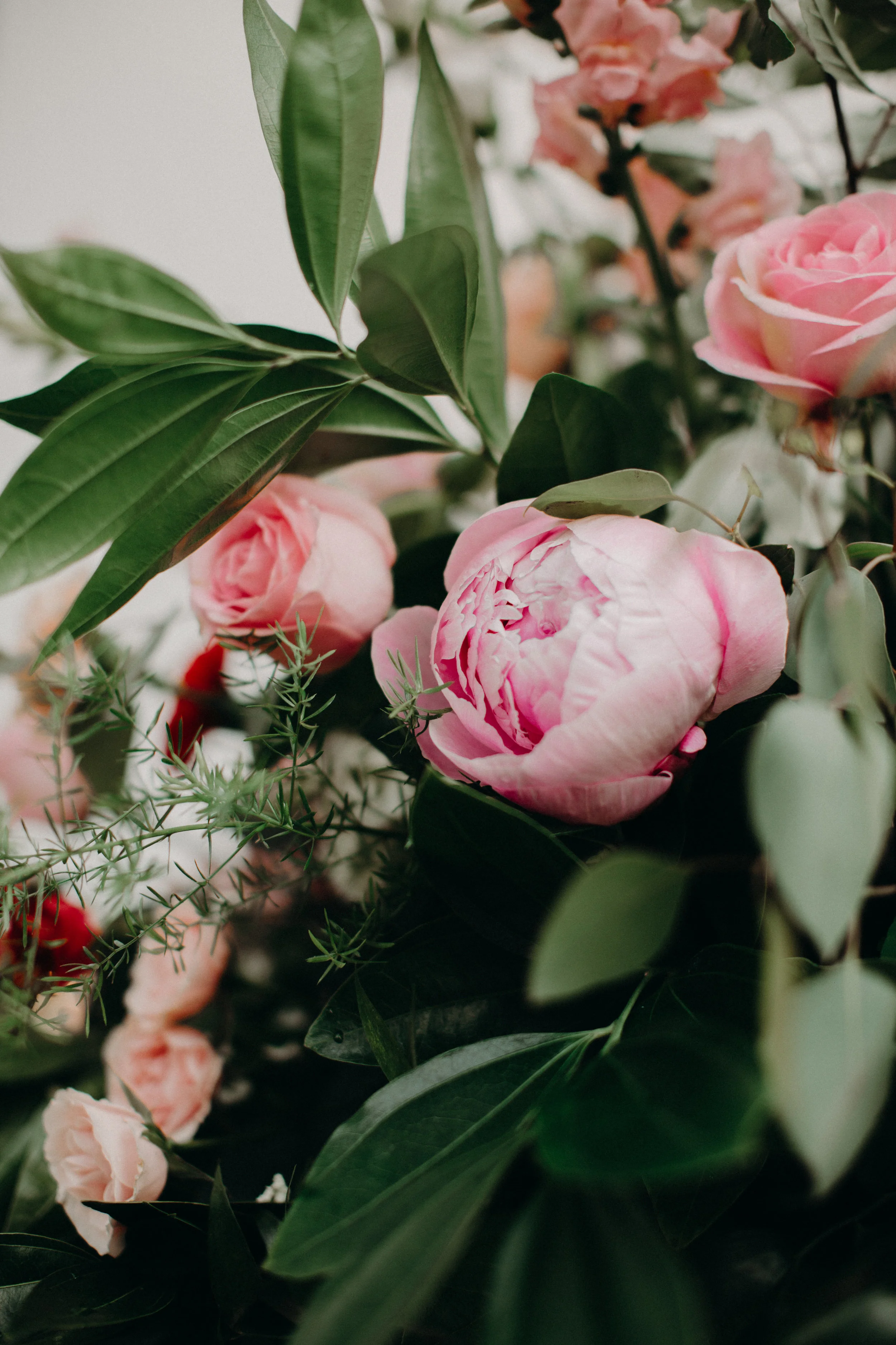 Pink garden rose arrangement by Lark Floral