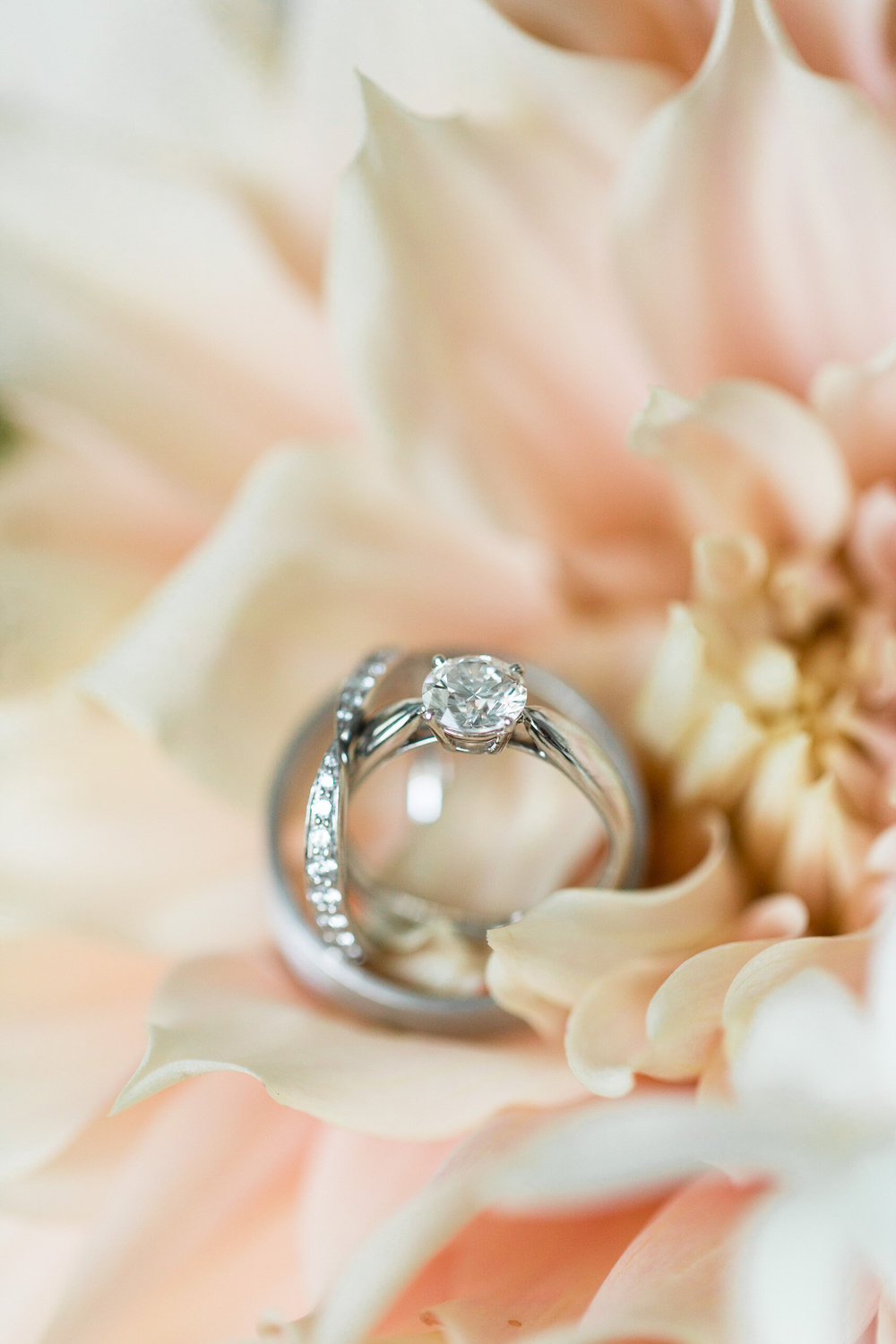 Wedding Ring detail shot at Tranquility Farm