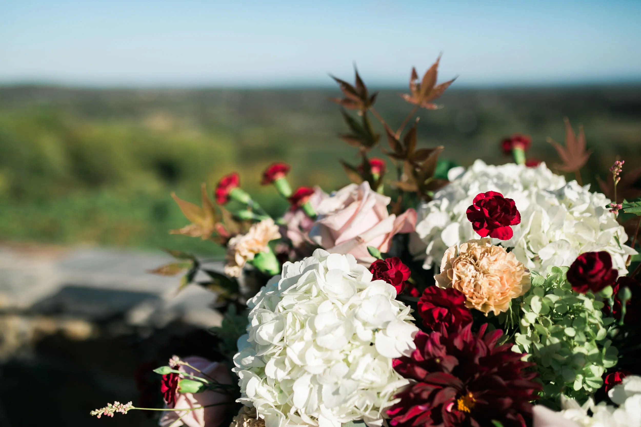 ceremony-8.jpg
