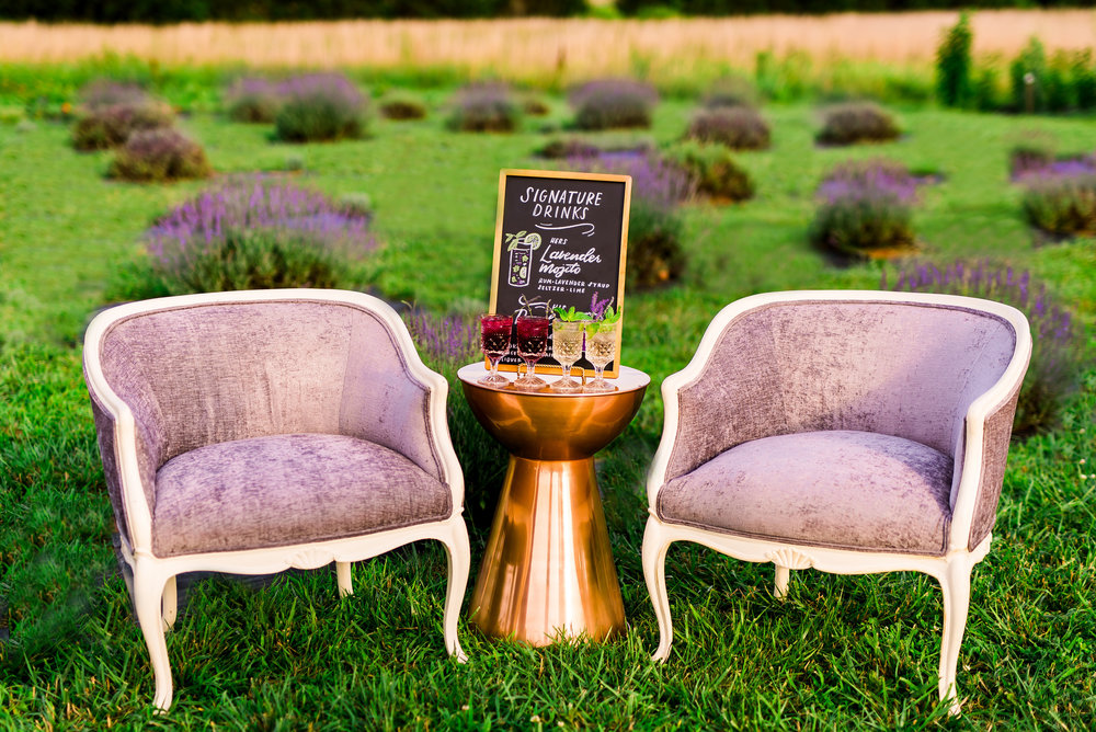 Lavender Chairs for Rent