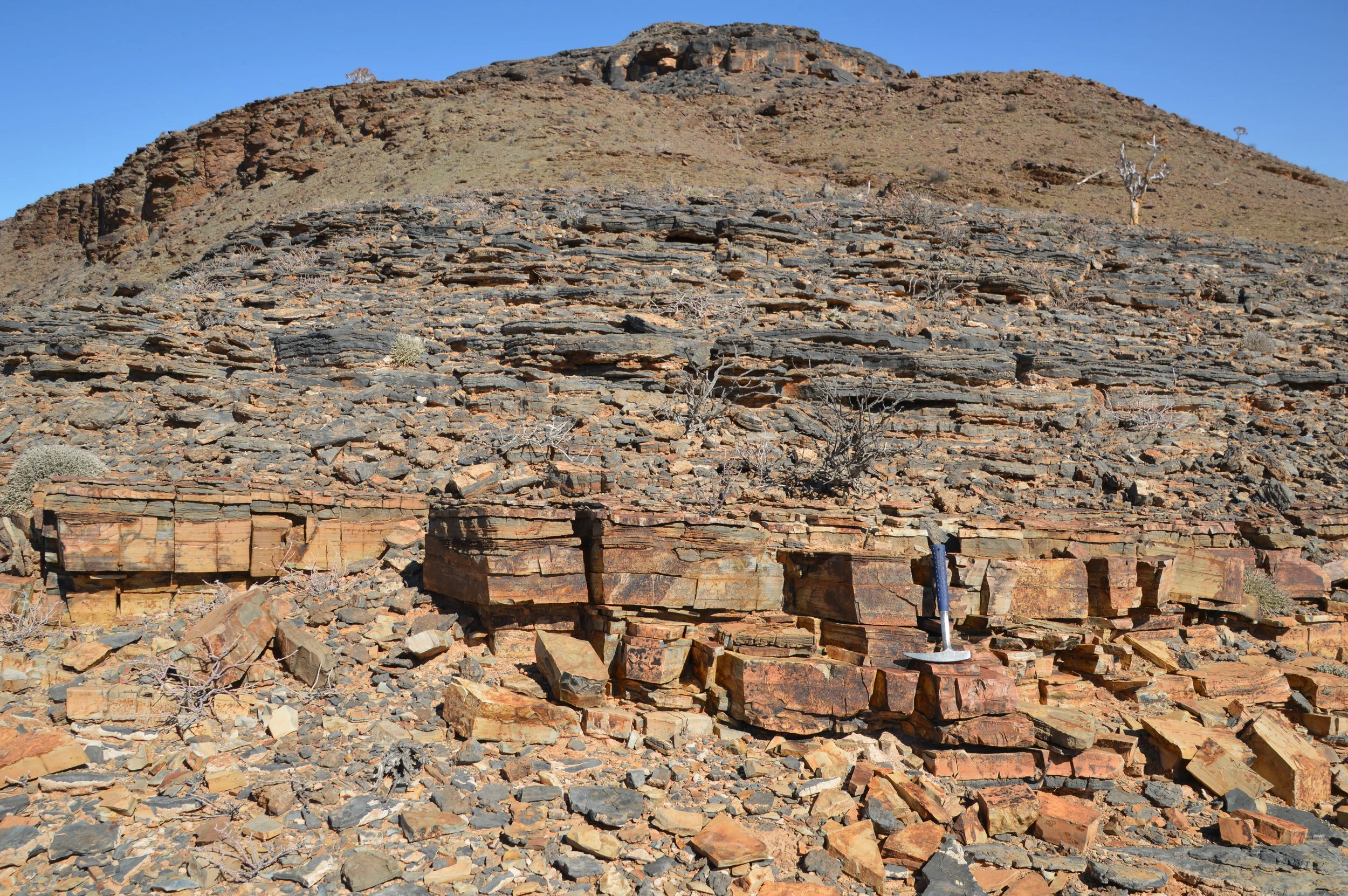  An Ediacaran ash in Namibia 