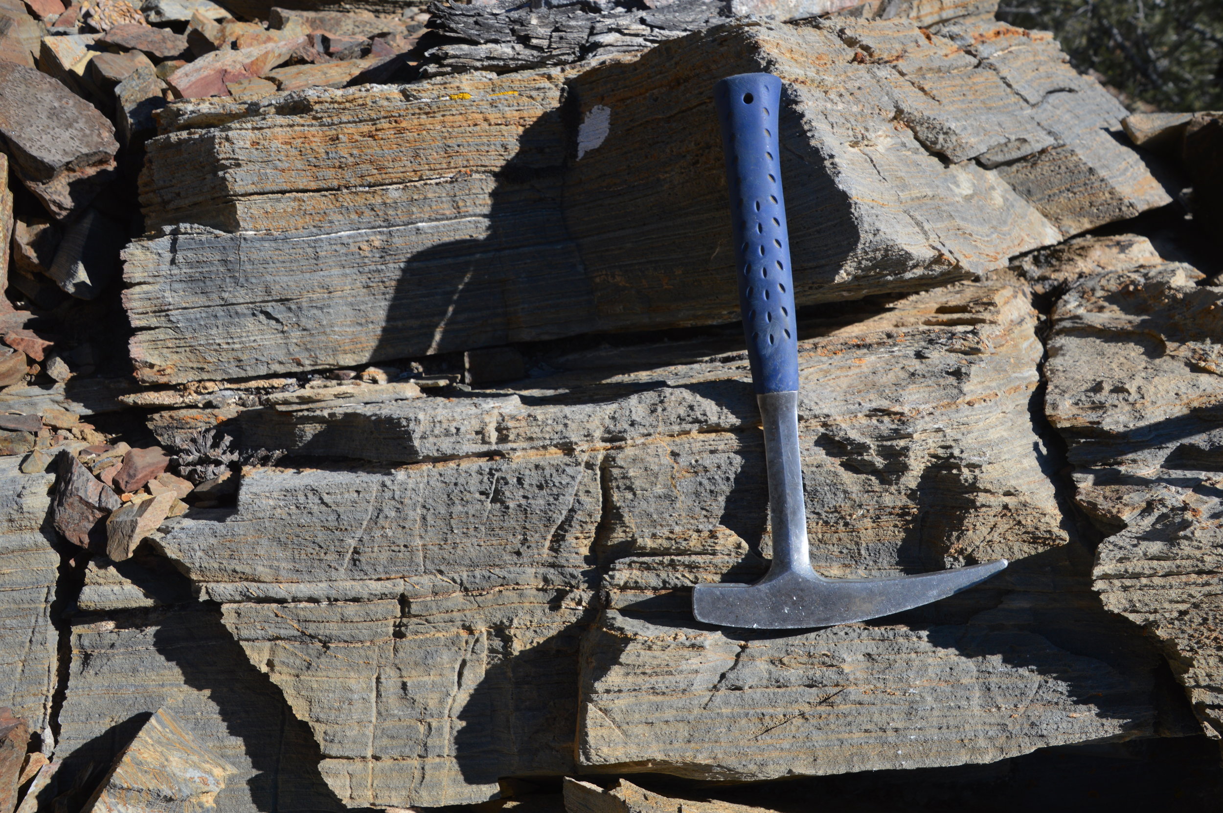  The Sturtian cap carbonate in the Panamint Range, CA 