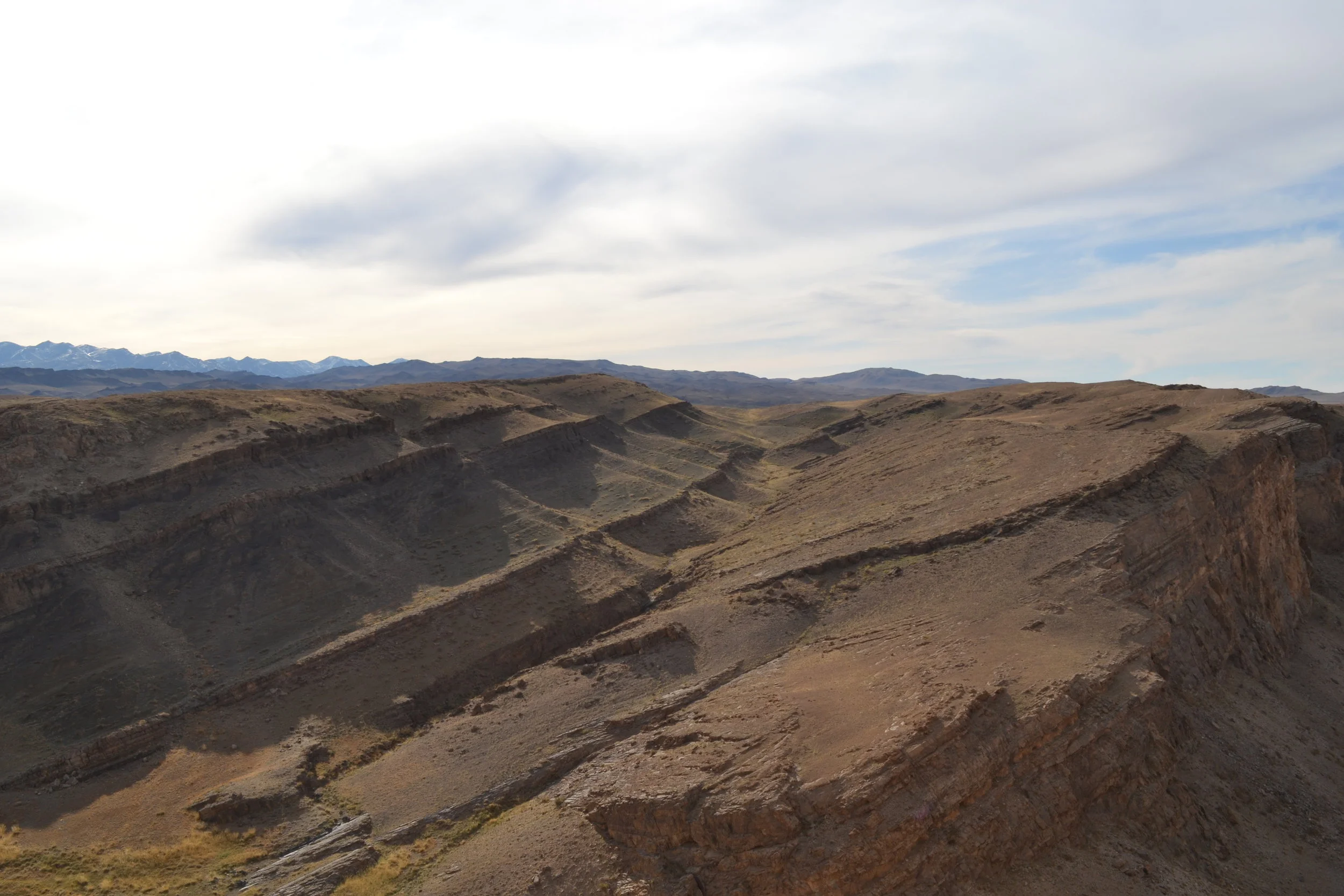  The Cambrian in Mongolia 